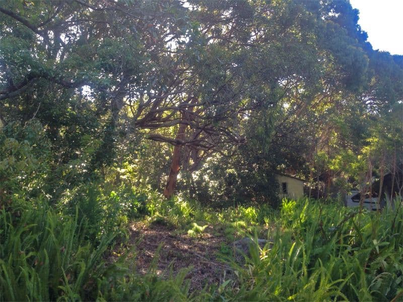 32 Grandview Crescent, KILLCARE NSW 2257, Killcare - Thumbnail 4