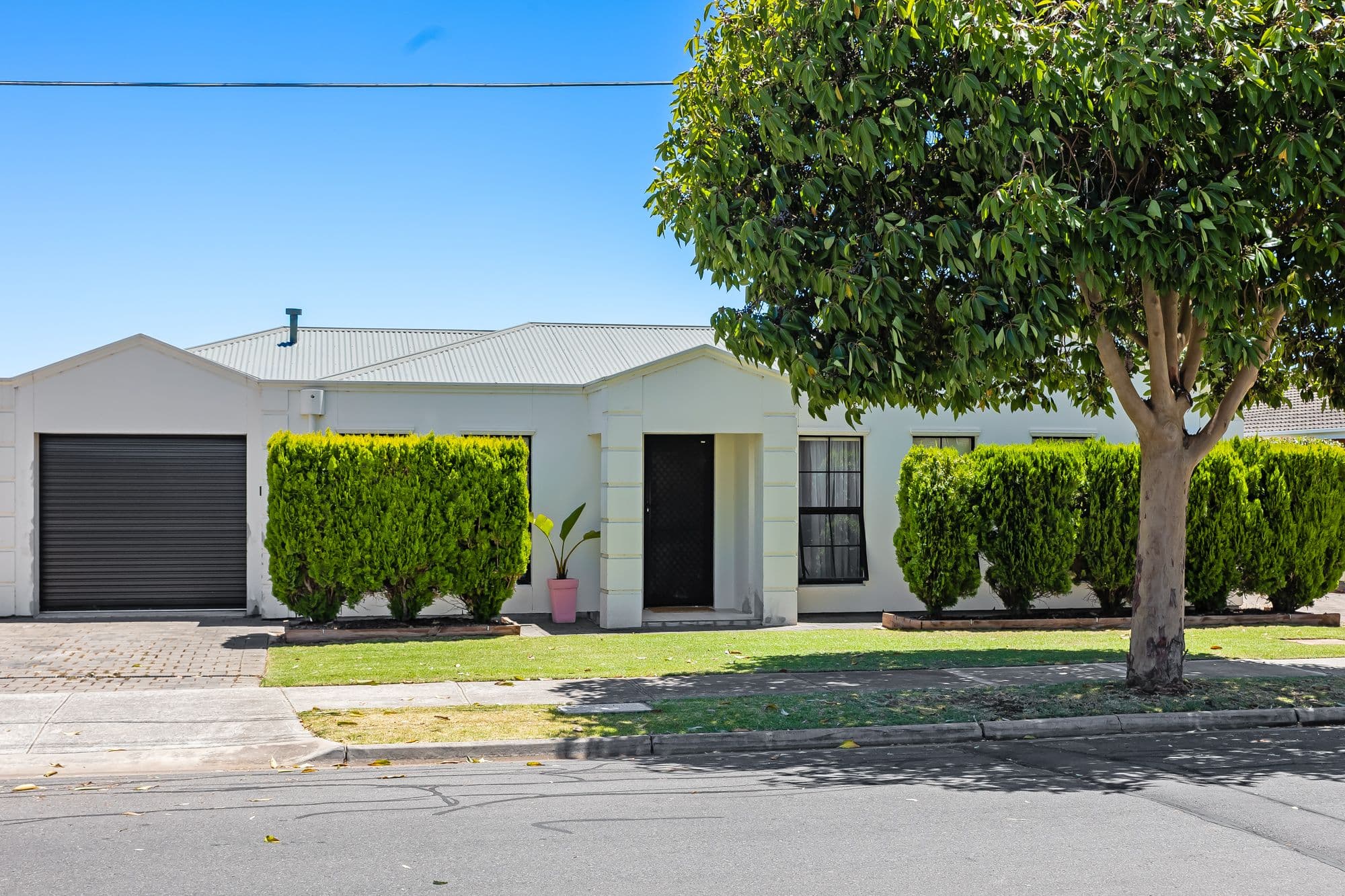 26 Capper Street, Camden Park SA 5038, Camden Park - Image 1
