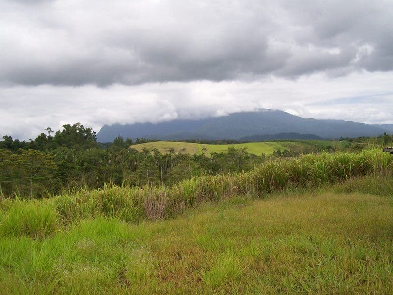 66060 Bruce Highway, Waughs Pocket, INNISFAIL QLD 4860, Innisfail - Thumbnail 7