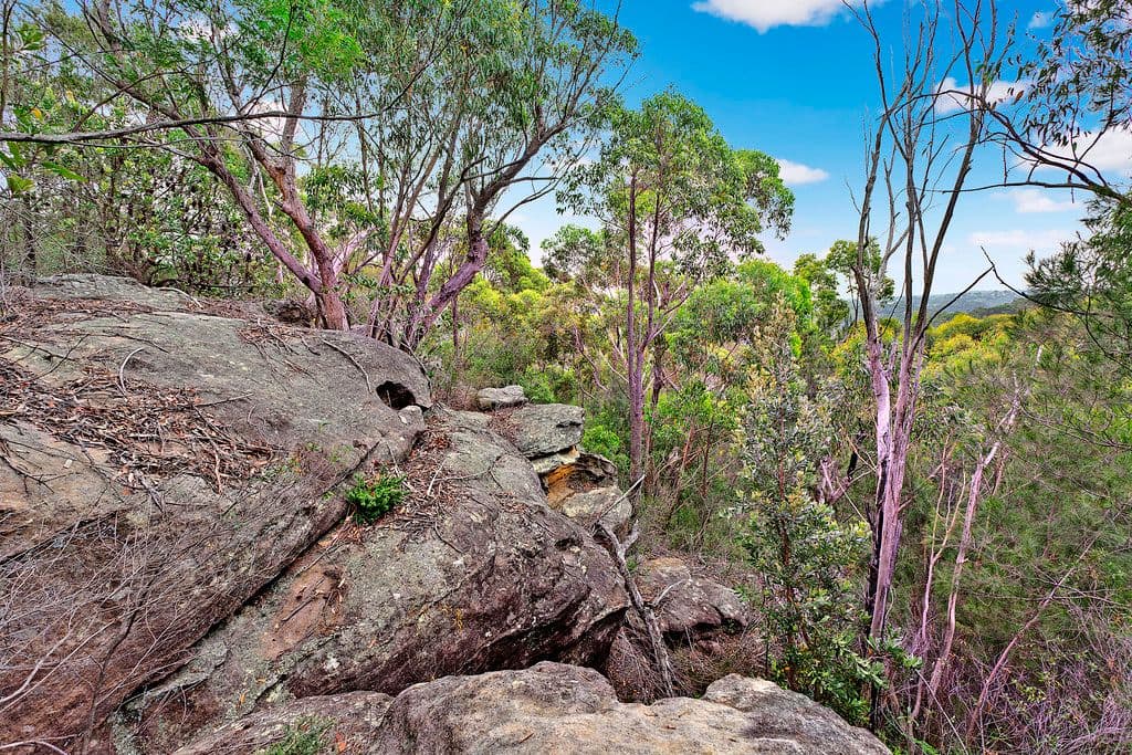 57 Ballyshannon Road, KILLARNEY HEIGHTS NSW 2087, Killarney Heights - Thumbnail 6