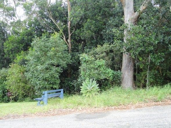 9 Lower Lee Street, NAMBUCCA HEADS NSW 2448, Nambucca Heads - Thumbnail 5