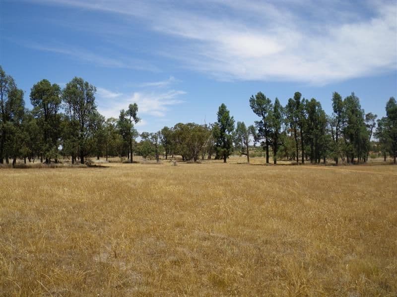 23R Wilfred Smith Drive, DUBBO NSW 2830, Dubbo - Thumbnail 2