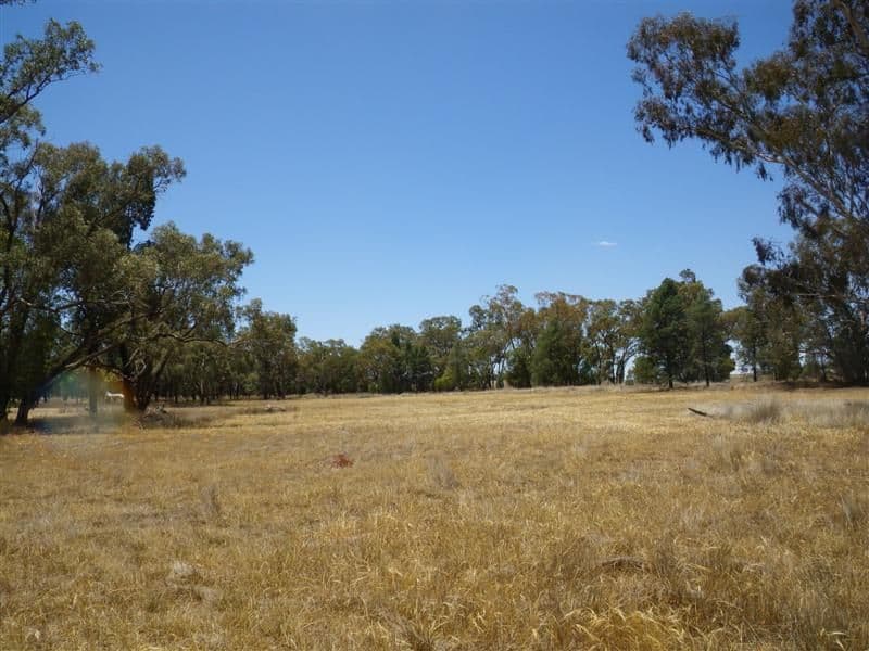 23R Wilfred Smith Drive, DUBBO NSW 2830, Dubbo - Thumbnail 4