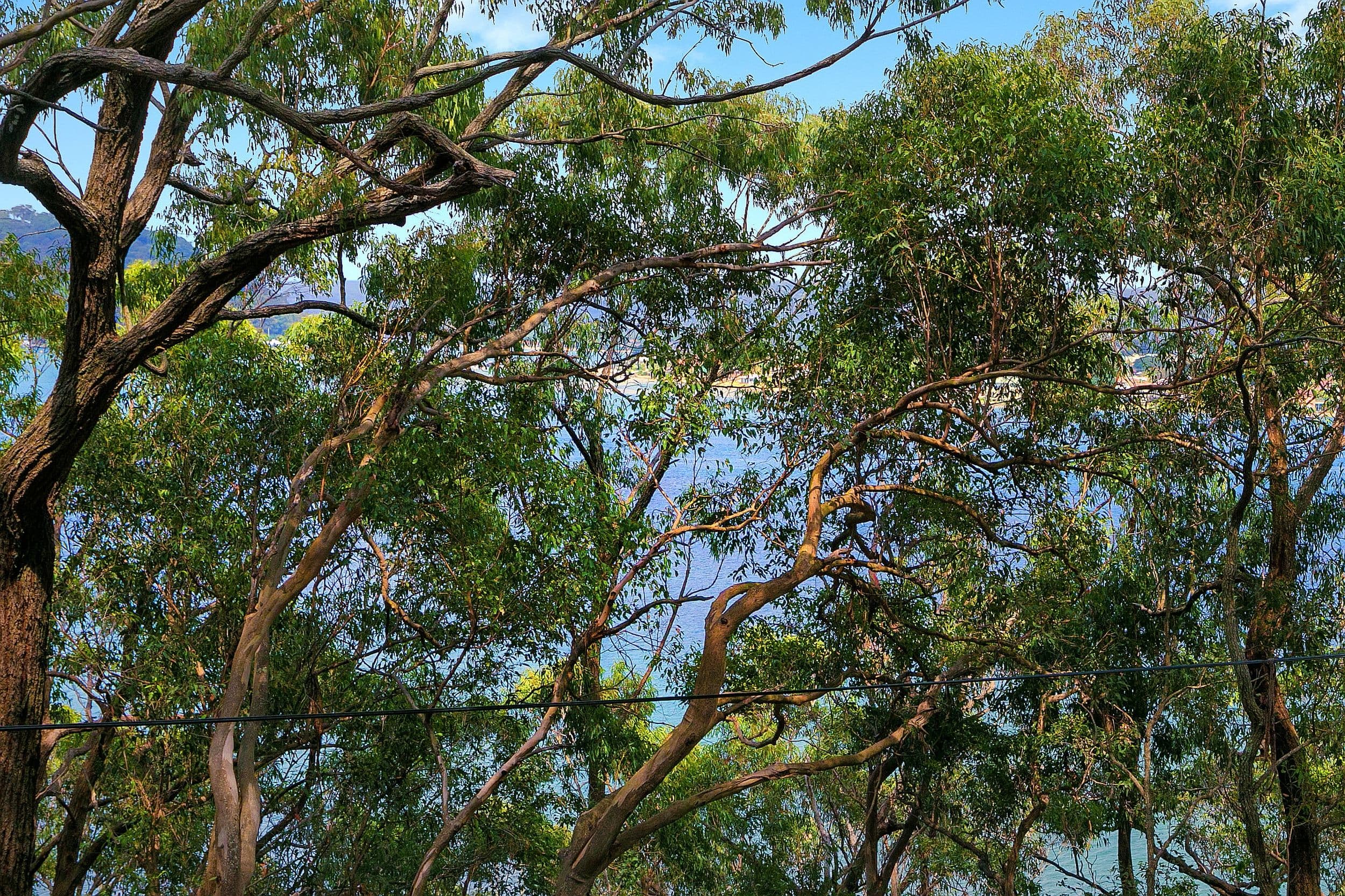 3 Hardys Bay Parade, Killcare NSW 2257, Killcare - Thumbnail 5