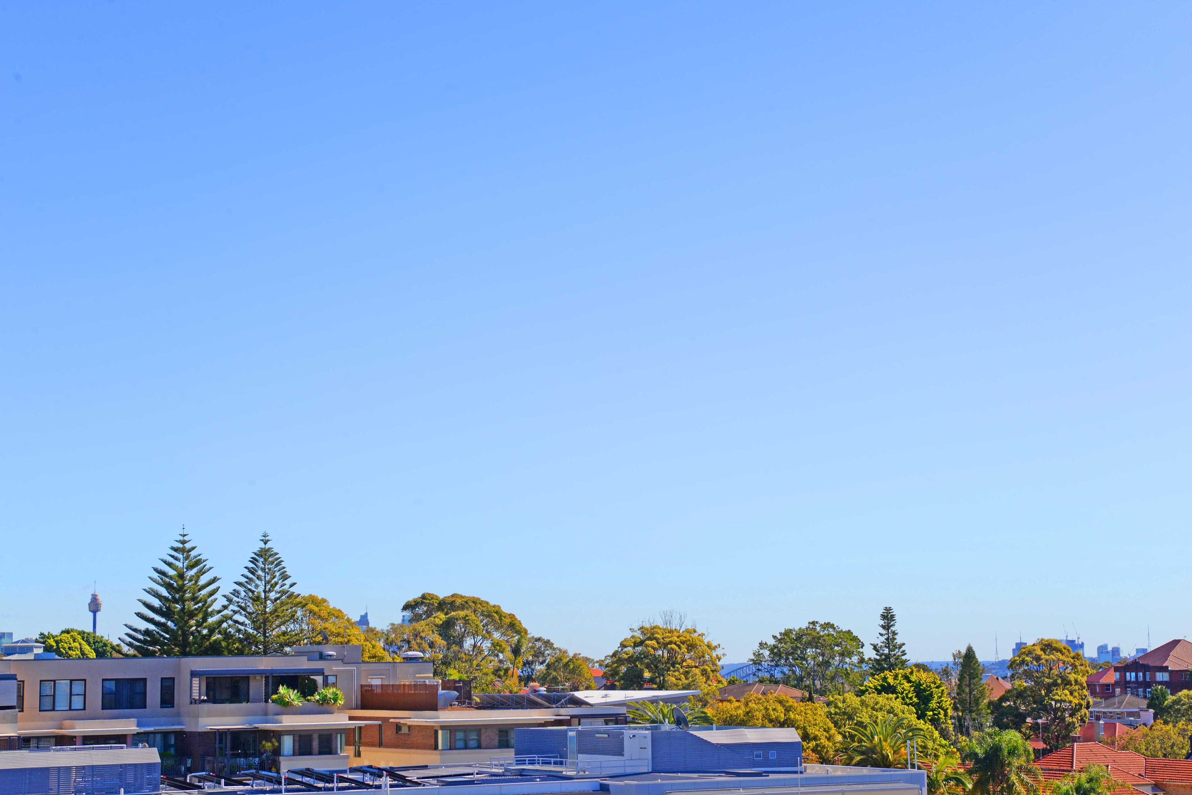 53-63 Penkivil Street, Bondi NSW 2026, Bondi - Thumbnail 8