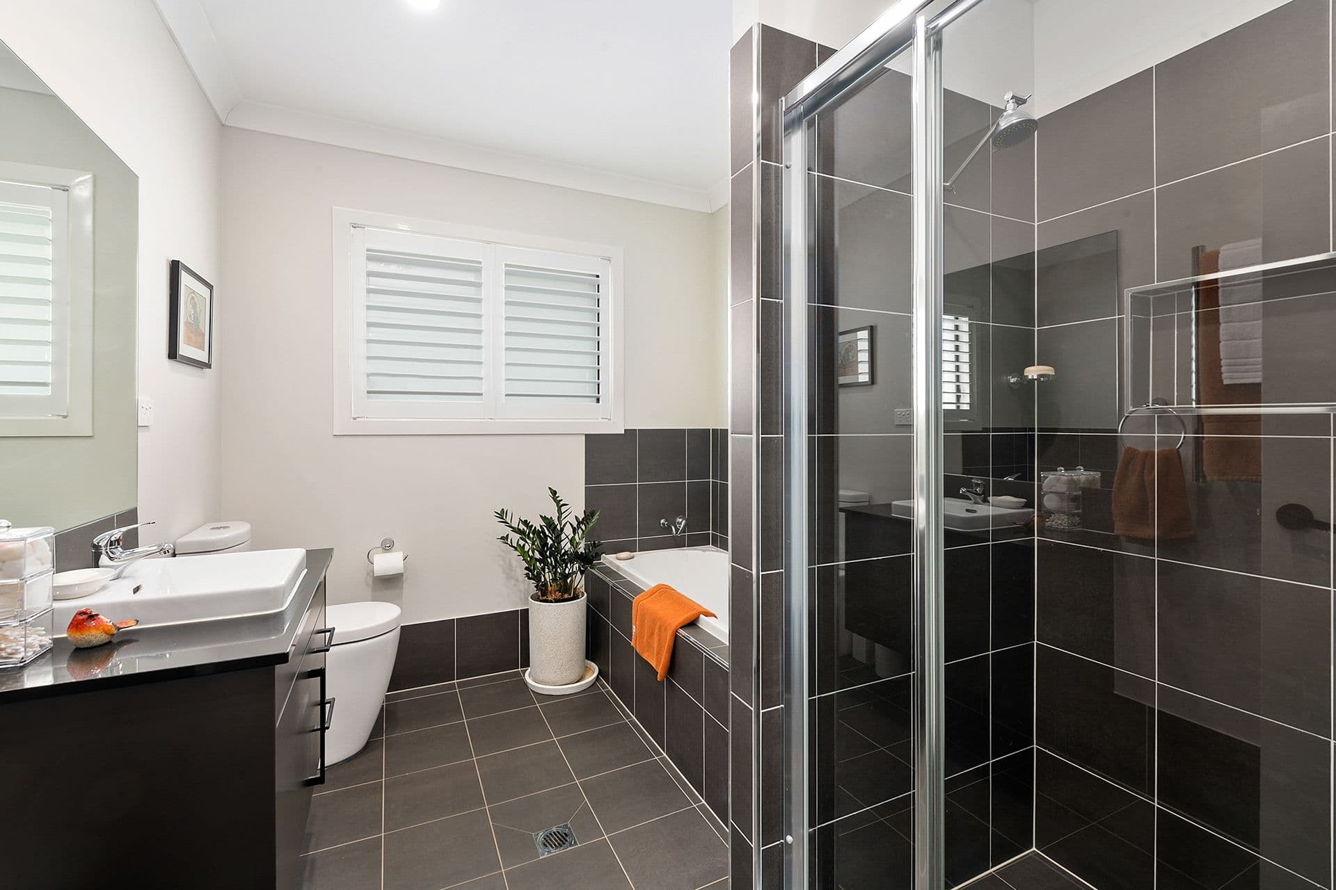 3 Eliza Street, Moss Vale NSW 2577, Moss Vale - Thumbnail 7