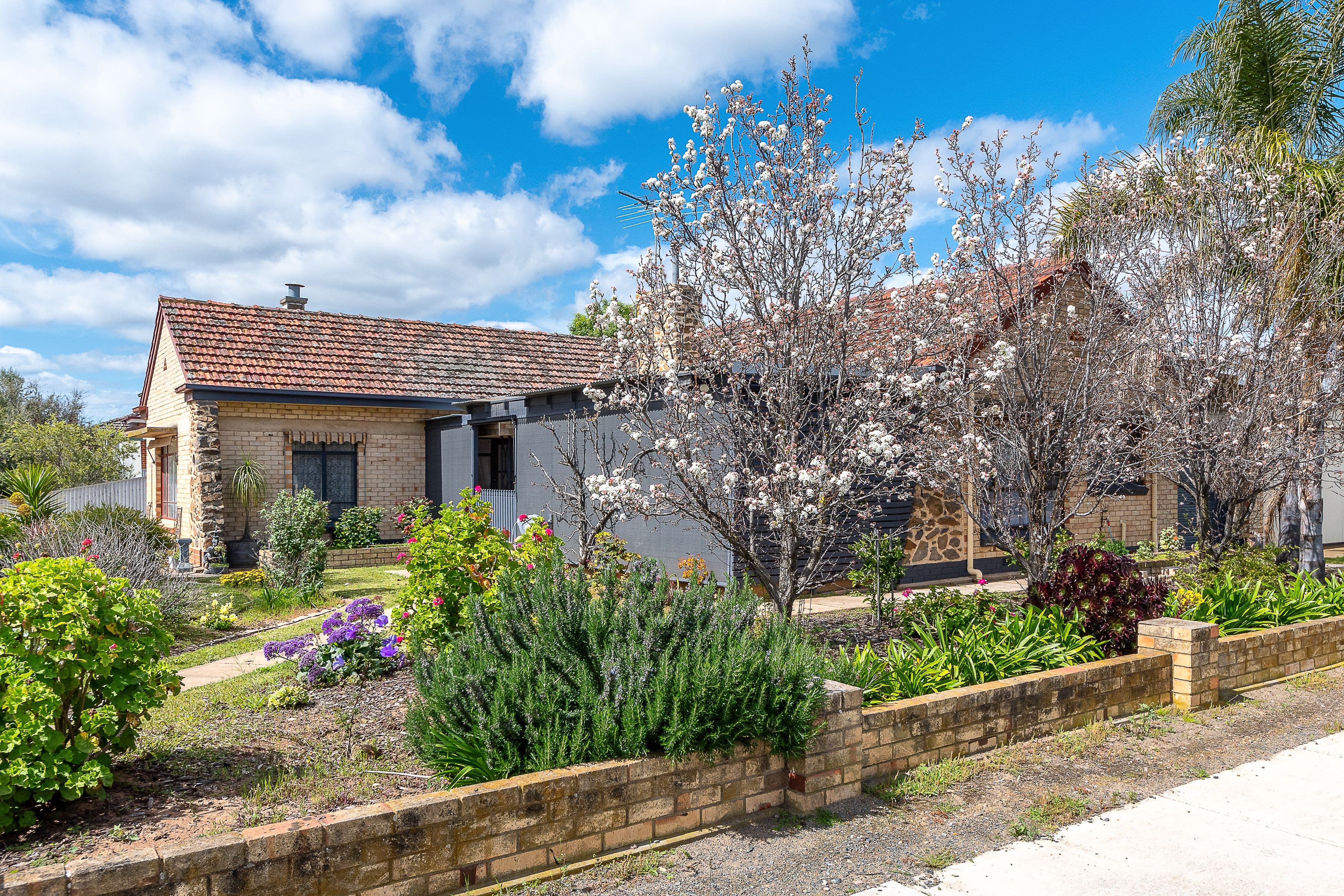 26 William Street, Murray Bridge SA 5253, Murray Bridge - Thumbnail 2