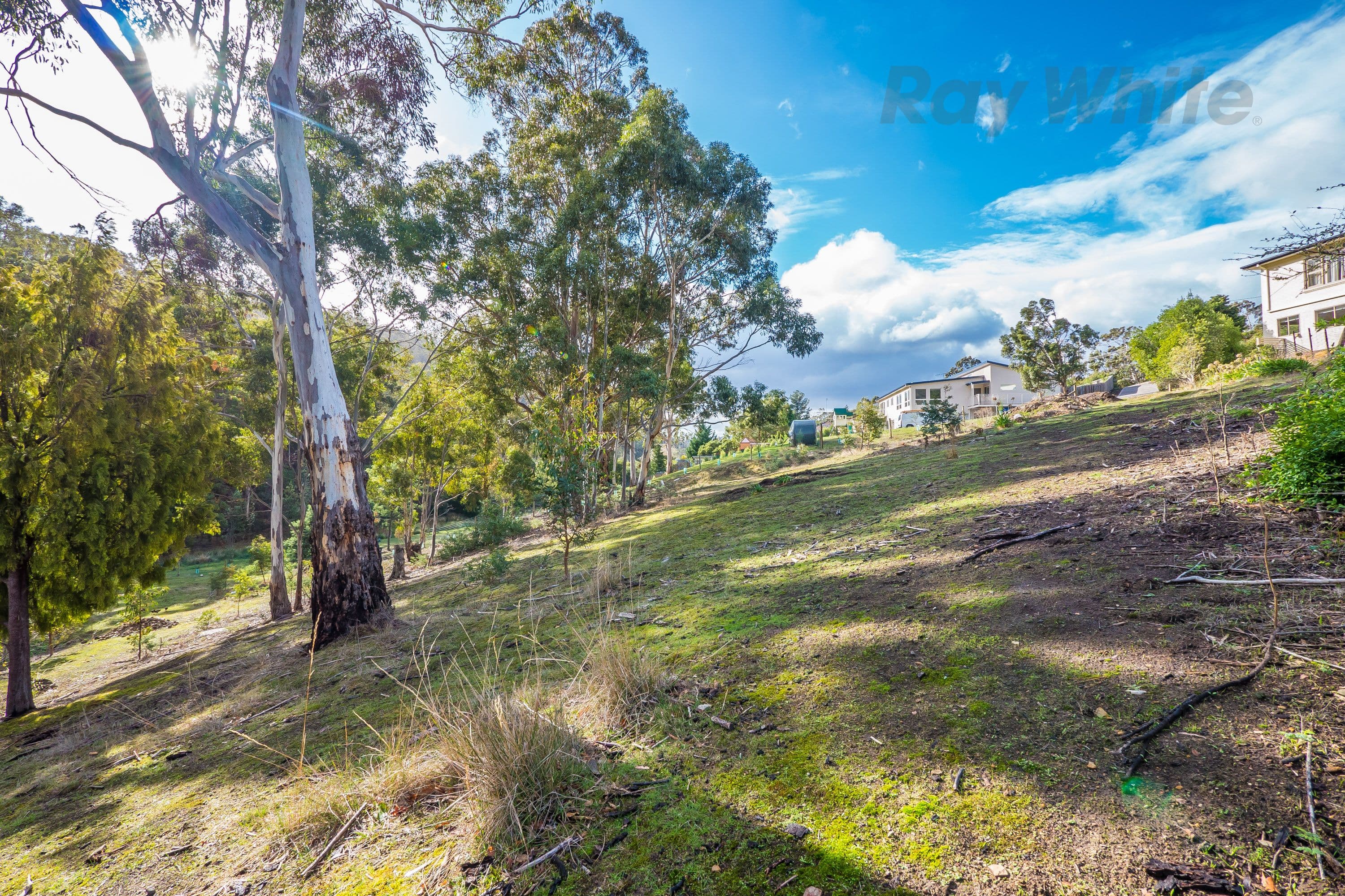 22 Glenlusk Road, Berriedale TAS 7011, Berriedale - Thumbnail 4