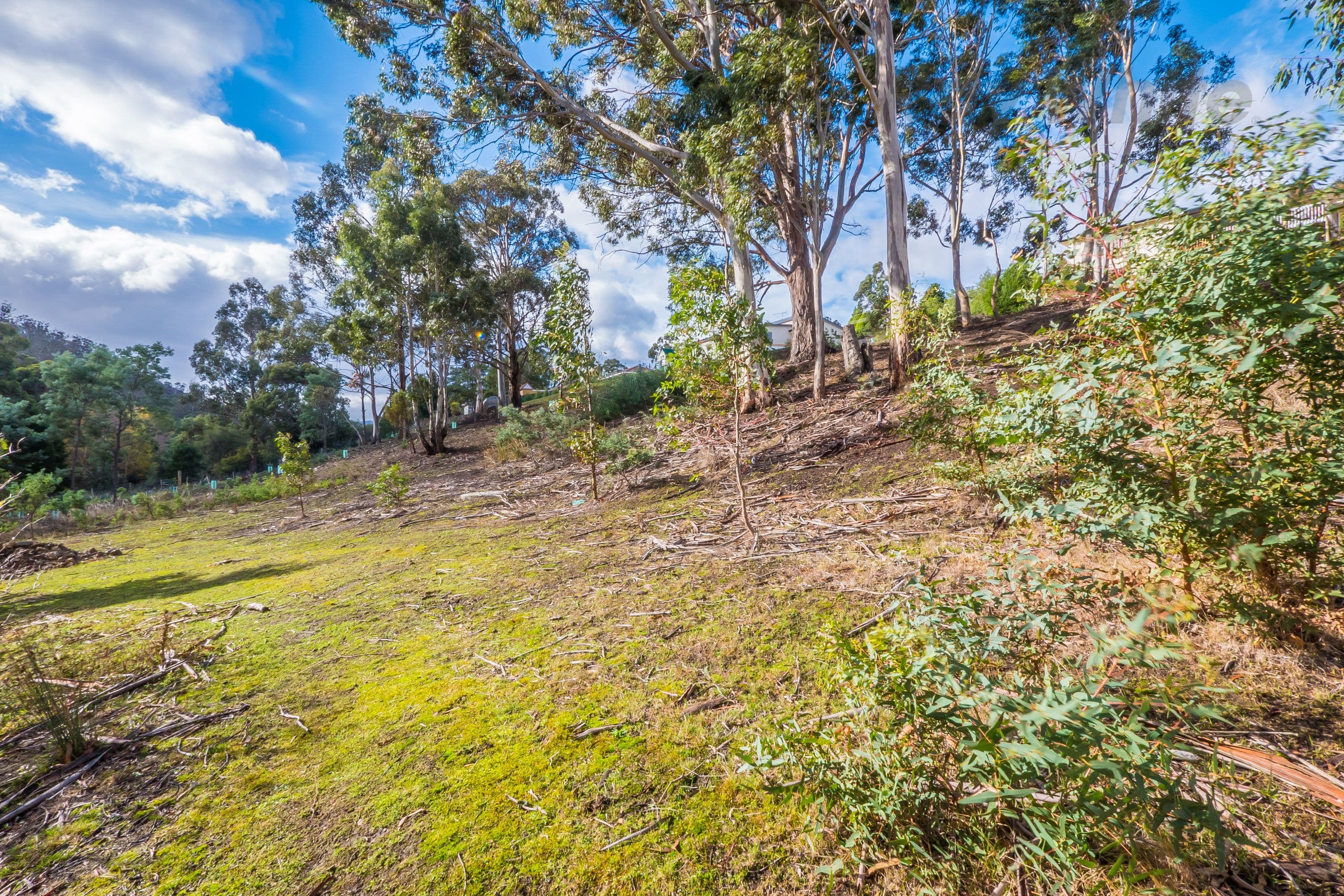 22 Glenlusk Road, Berriedale TAS 7011, Berriedale - Thumbnail 5