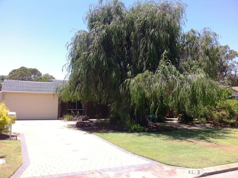18 Balboa Row, WILLETTON WA 6155, Willetton - Thumbnail 2