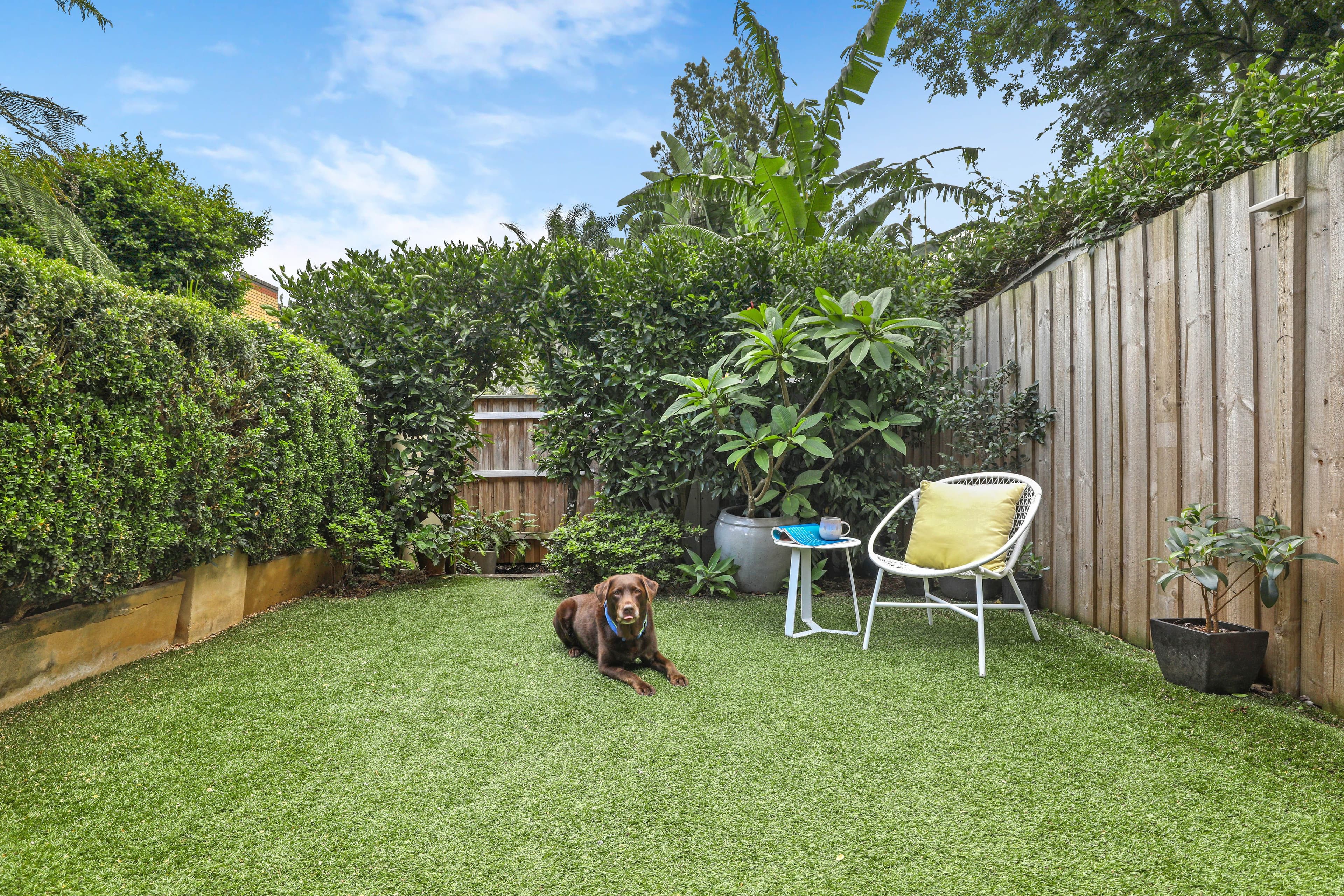 34 John Street, Newtown NSW 2042, Newtown - Thumbnail 5