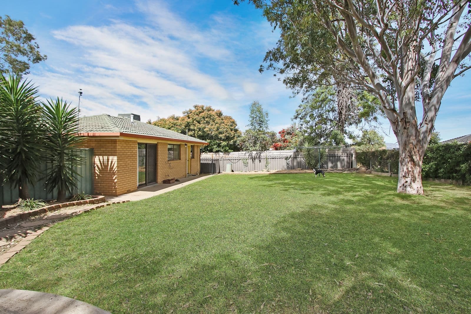 4 Budginigi Place, Thurgoona NSW 2640, Thurgoona - Thumbnail 5