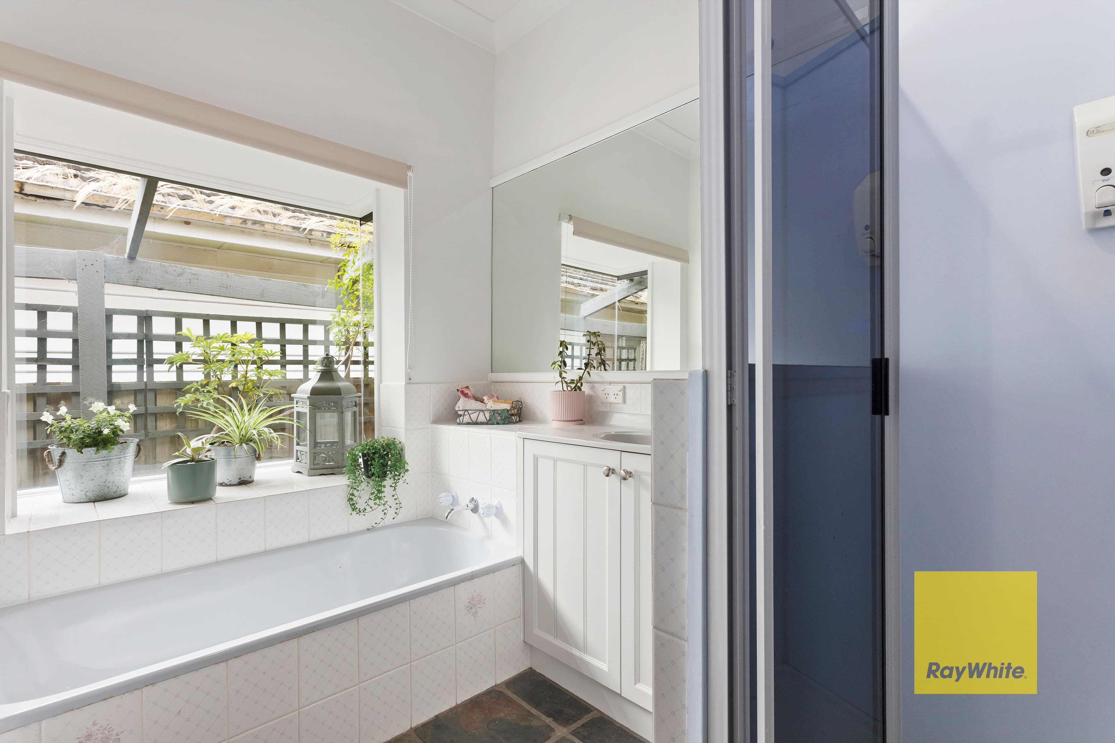 354 Aberdeen Street, Manifold Heights VIC 3218, Manifold Heights - Thumbnail 6