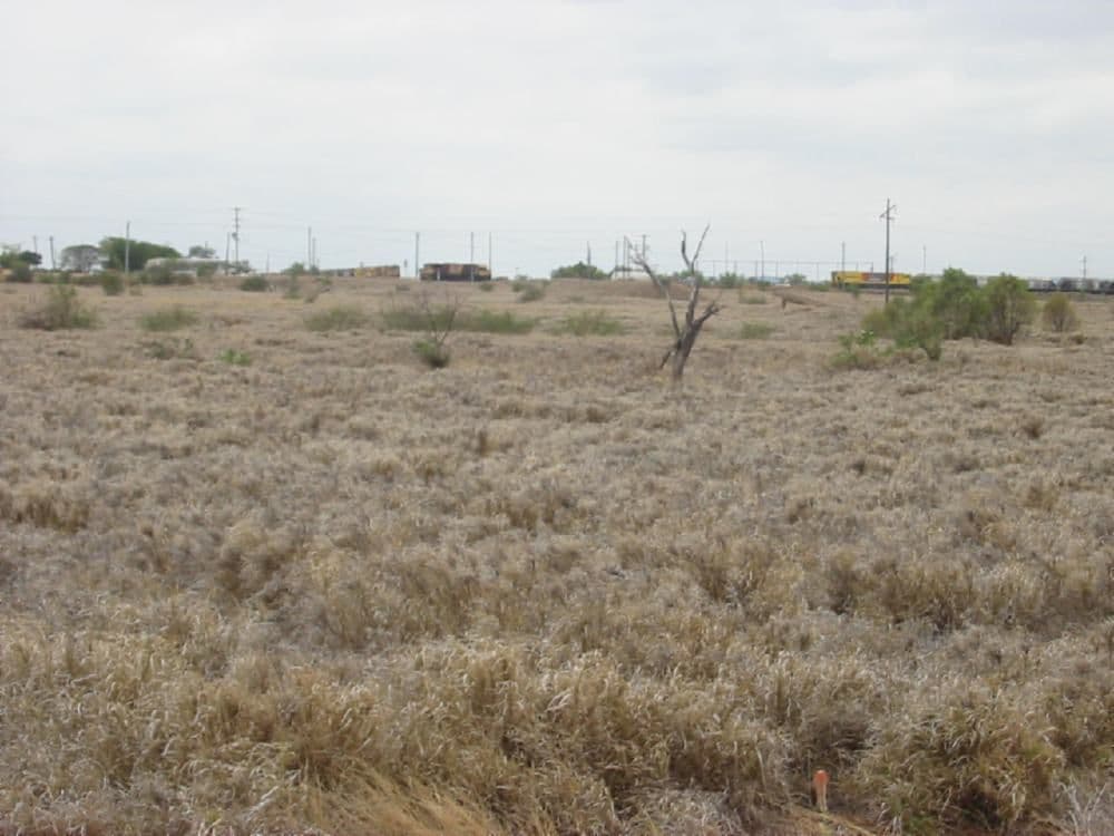 Lot 125 Winton Road, HUGHENDEN QLD 4821, Hughenden - Thumbnail 2