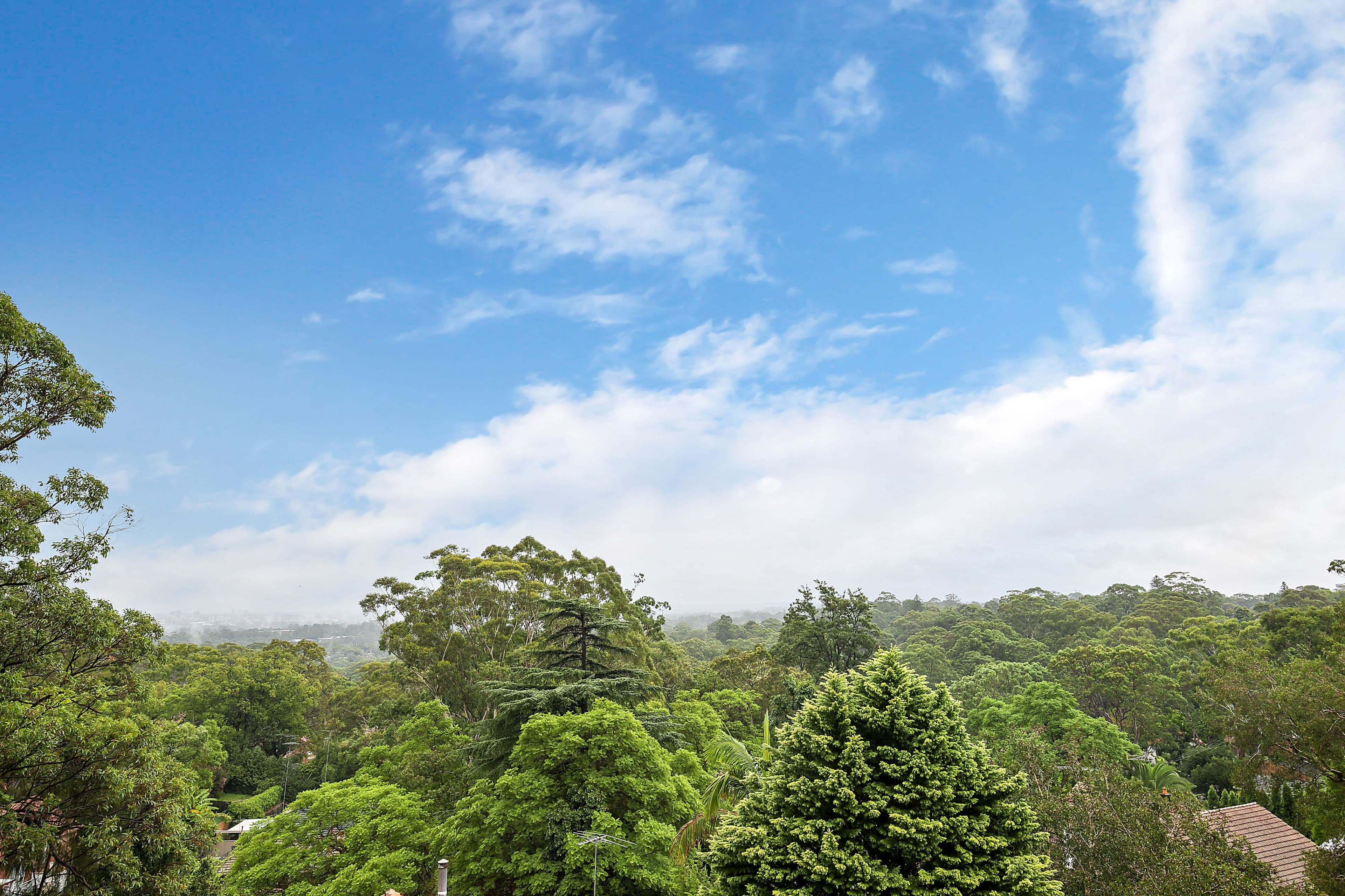 782-786 Pacific Highway, Chatswood NSW 2067, Chatswood - Thumbnail 2