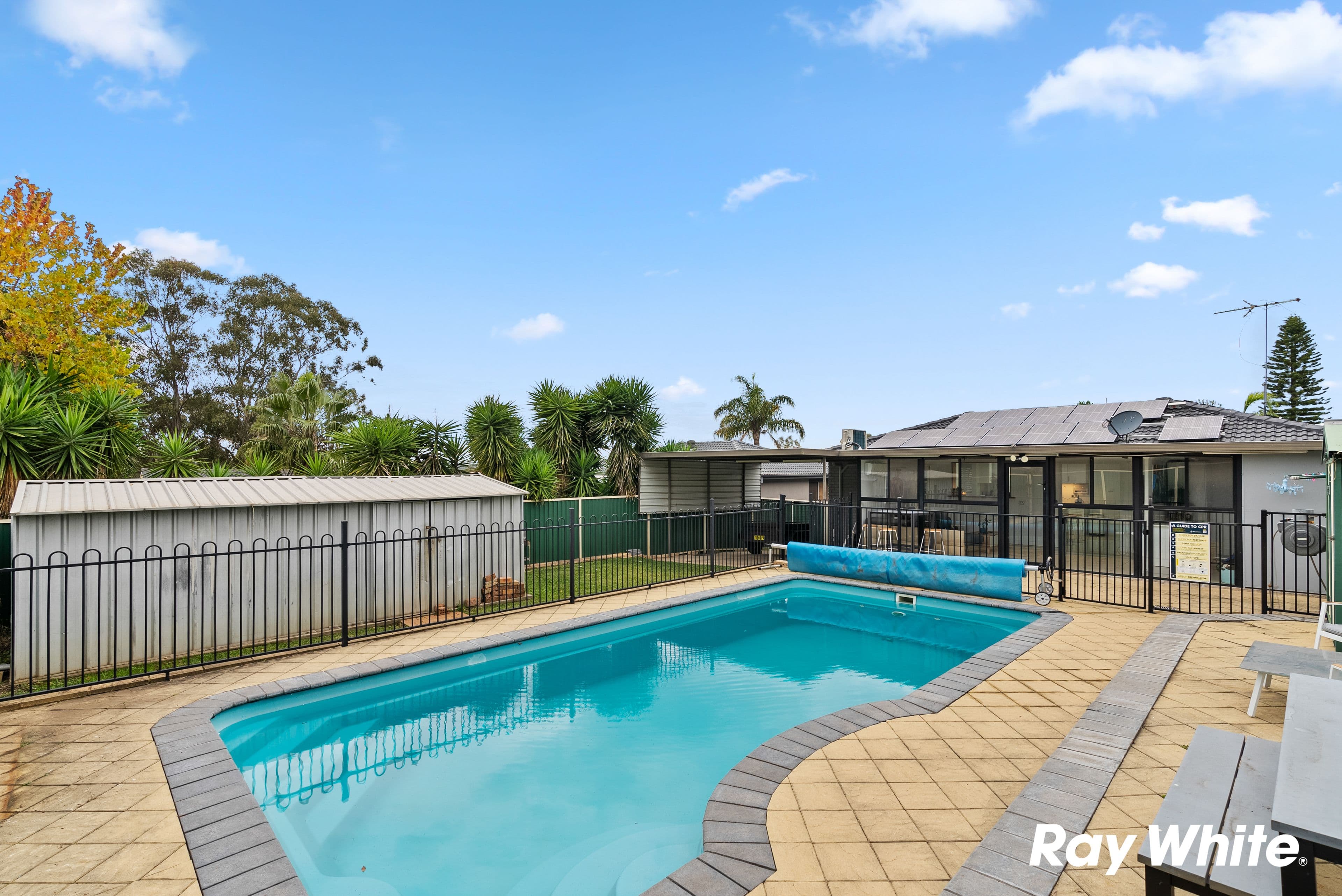 12 Armstrong Place, Dean Park NSW 2761, Dean Park - Thumbnail 2