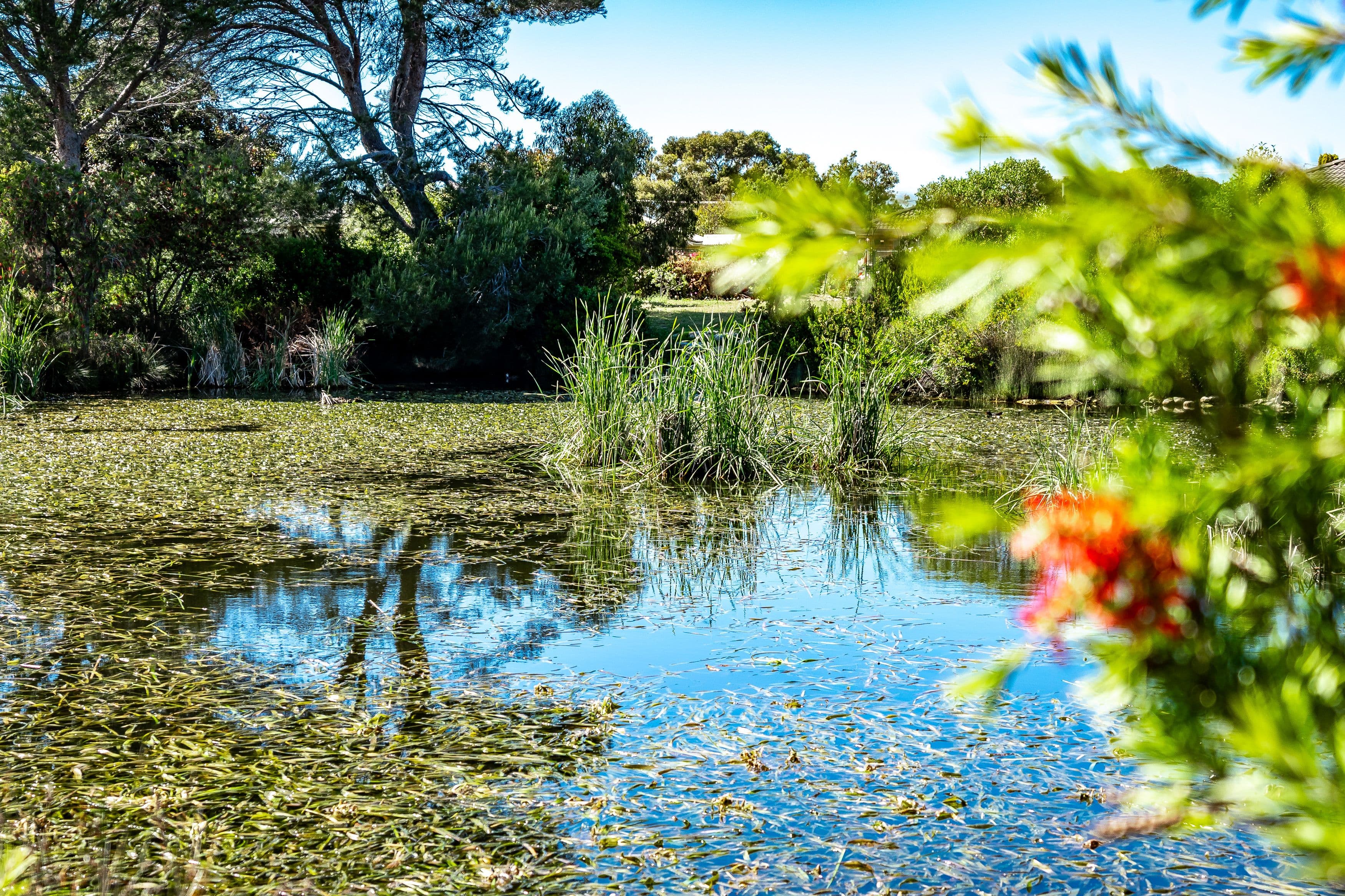 14 Albury Lane, Goolwa SA 5214, Goolwa - Thumbnail 5