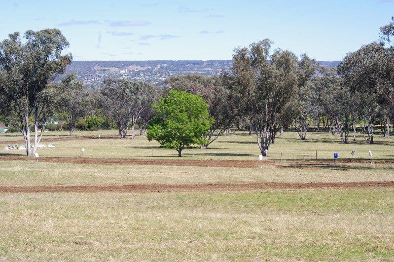 Lot 8 White Box Place, Inverell NSW 2360, Inverell - Thumbnail 2