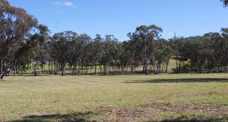 Lot 8 White Box Place, Inverell NSW 2360, Inverell - Thumbnail 3