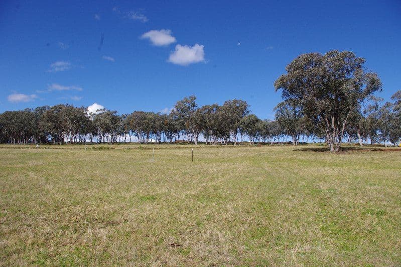 Lot 8 White Box Place, Inverell NSW 2360, Inverell - Thumbnail 8