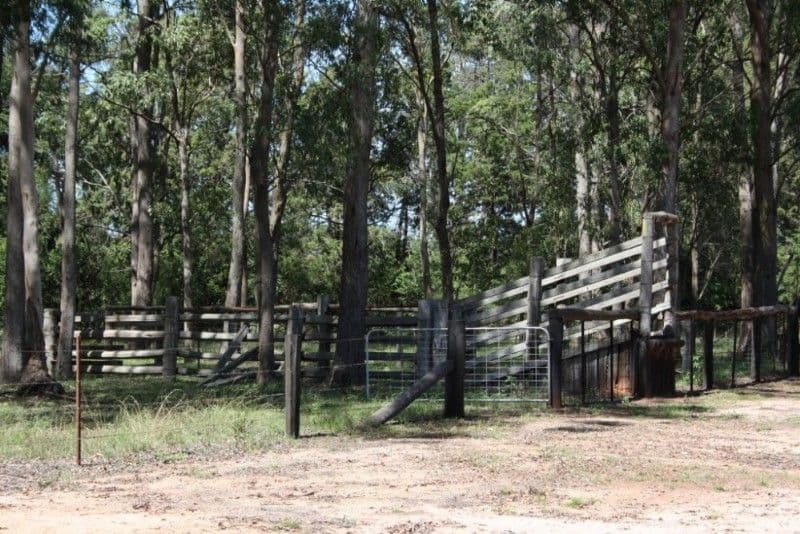 34 Pechey Forestry Road, CROWS NEST QLD 4355, Crows Nest - Thumbnail 8