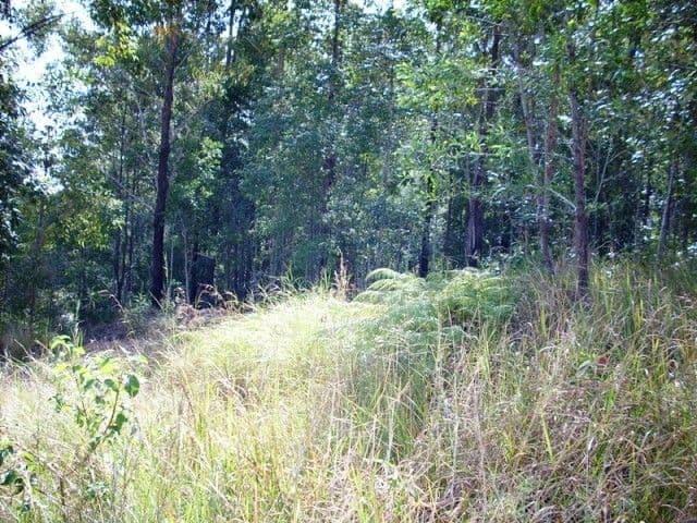 LOT 18  Sam White Drive, BUDERIM QLD 4556, Buderim - Thumbnail 4