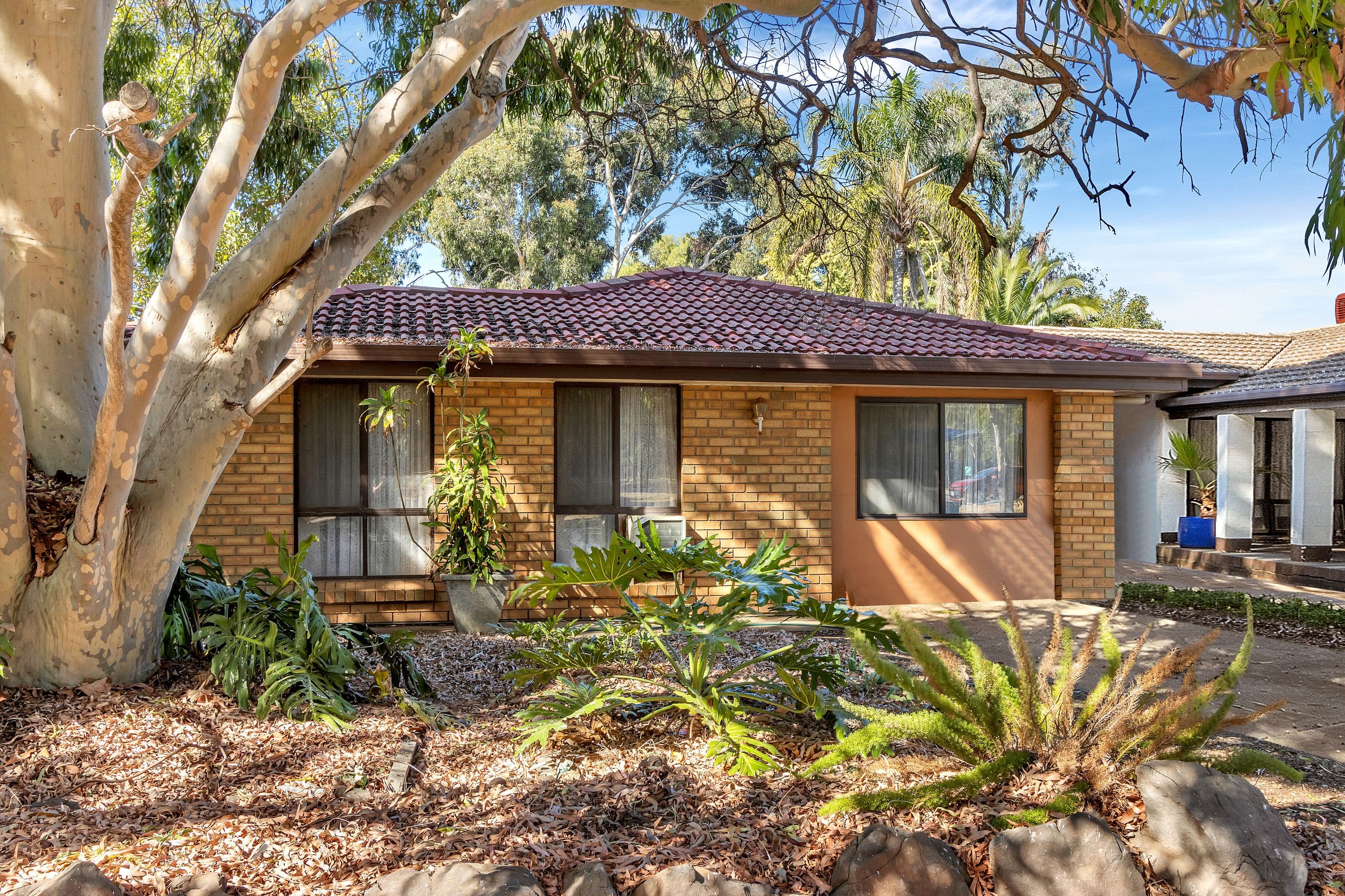4 De Mille Street, Salisbury Downs SA 5108, Salisbury Downs - Thumbnail 2