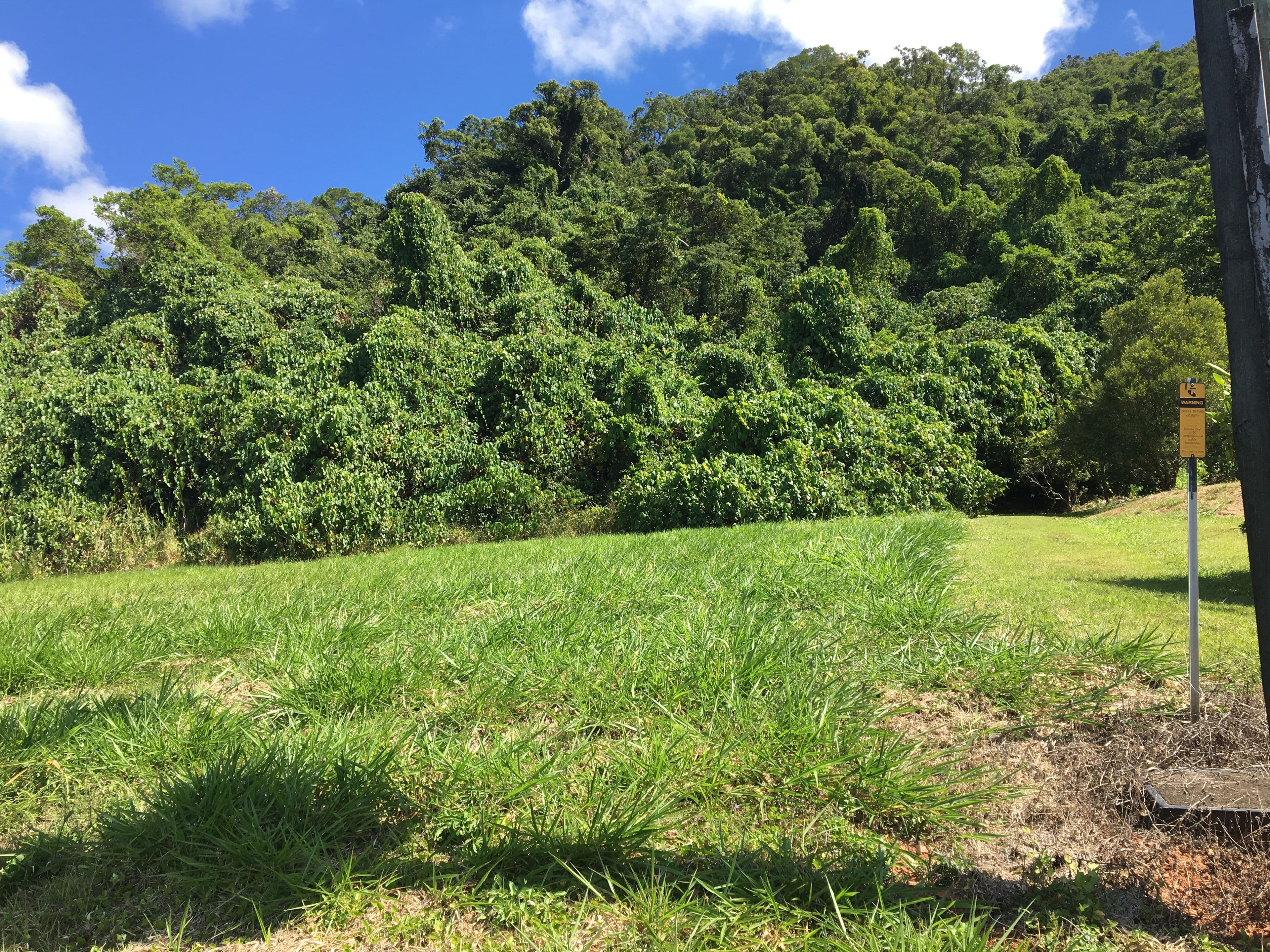 Lot 11 De Meio Drive Via Wonga Beach, Wonga Beach QLD 4873, Wonga Beach - Thumbnail 3