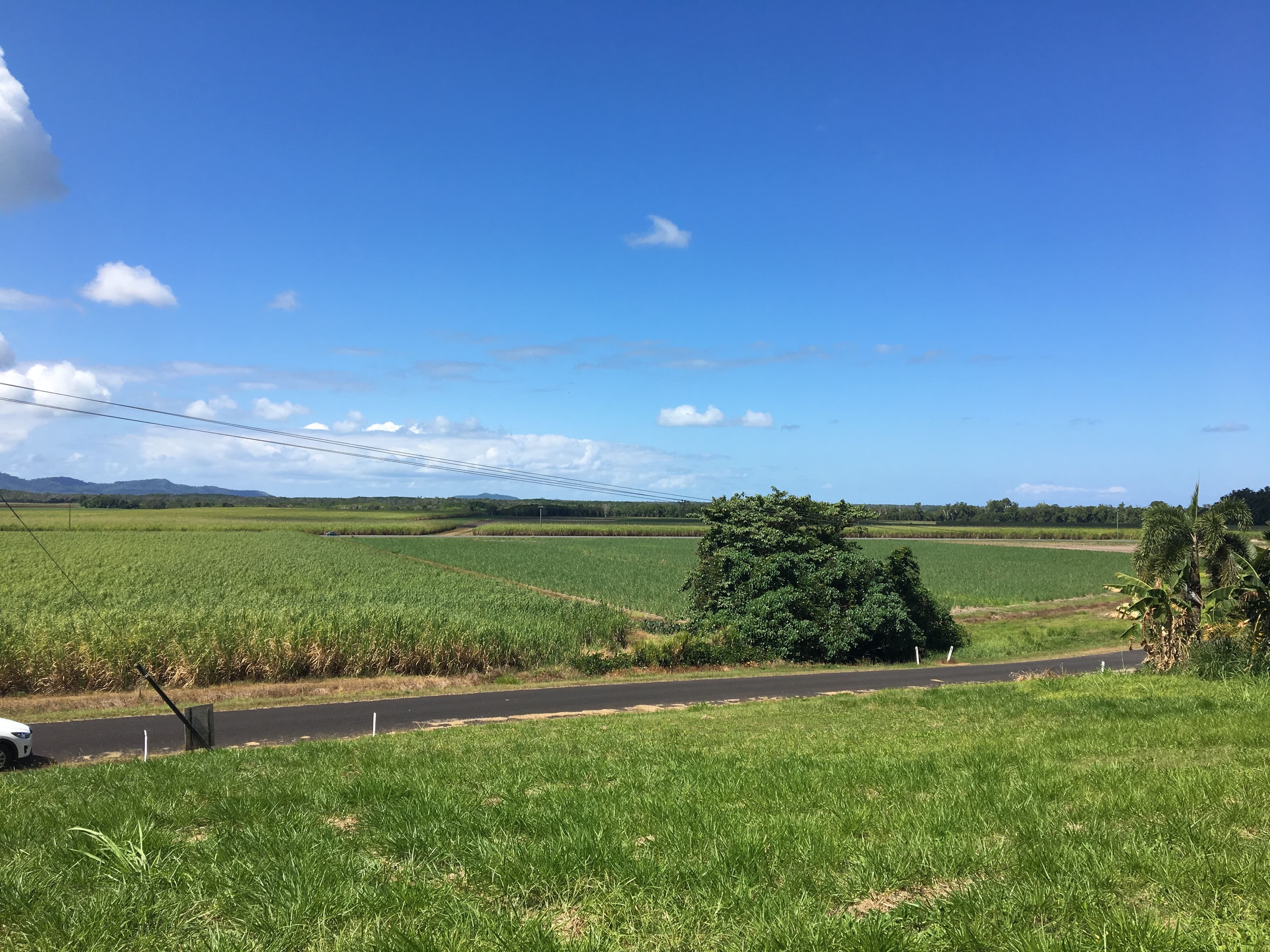 Lot 11 De Meio Drive Via Wonga Beach, Wonga Beach QLD 4873, Wonga Beach - Thumbnail 5
