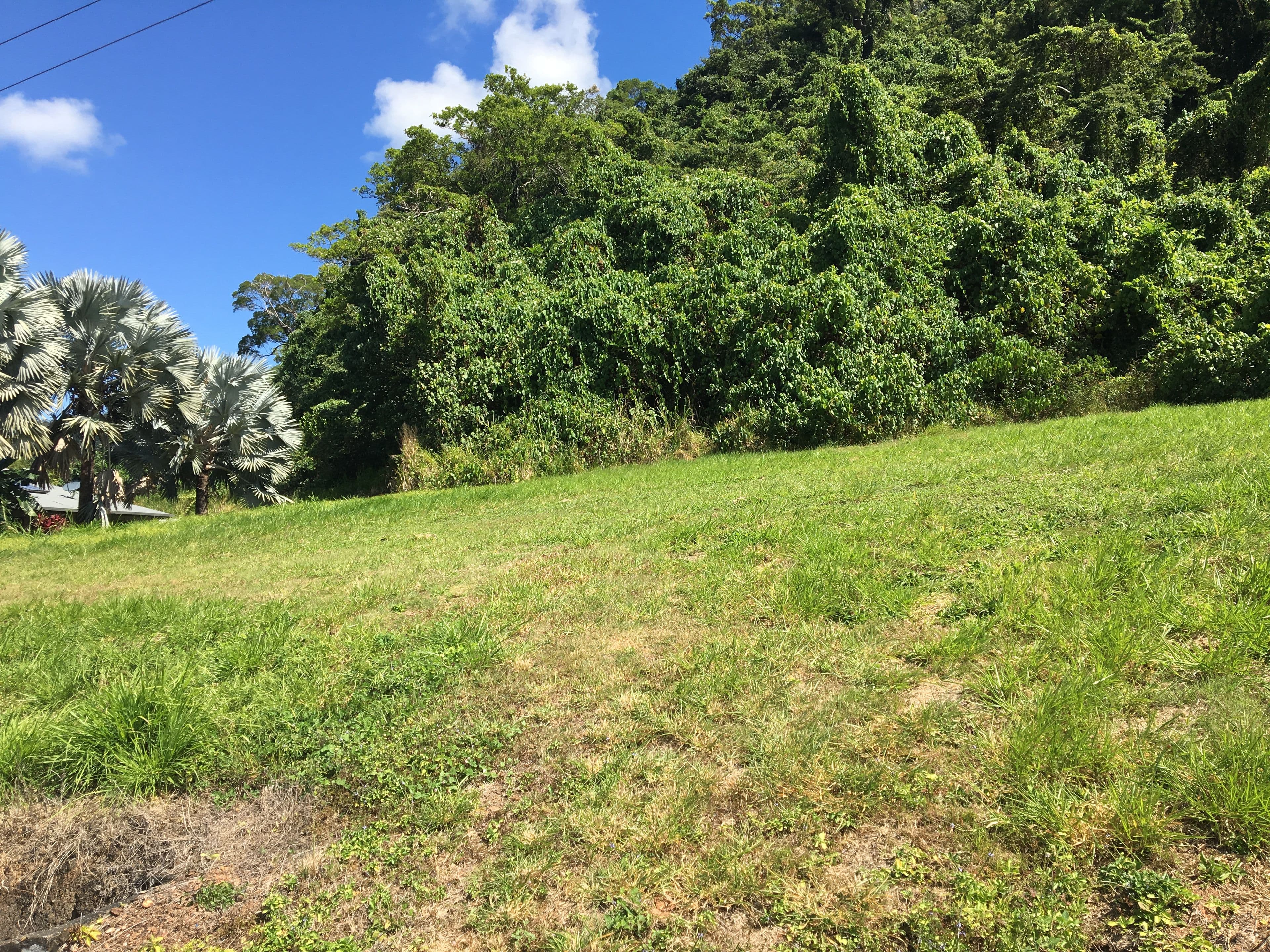 Lot 11 De Meio Drive Via Wonga Beach, Wonga Beach QLD 4873, Wonga Beach - Thumbnail 6