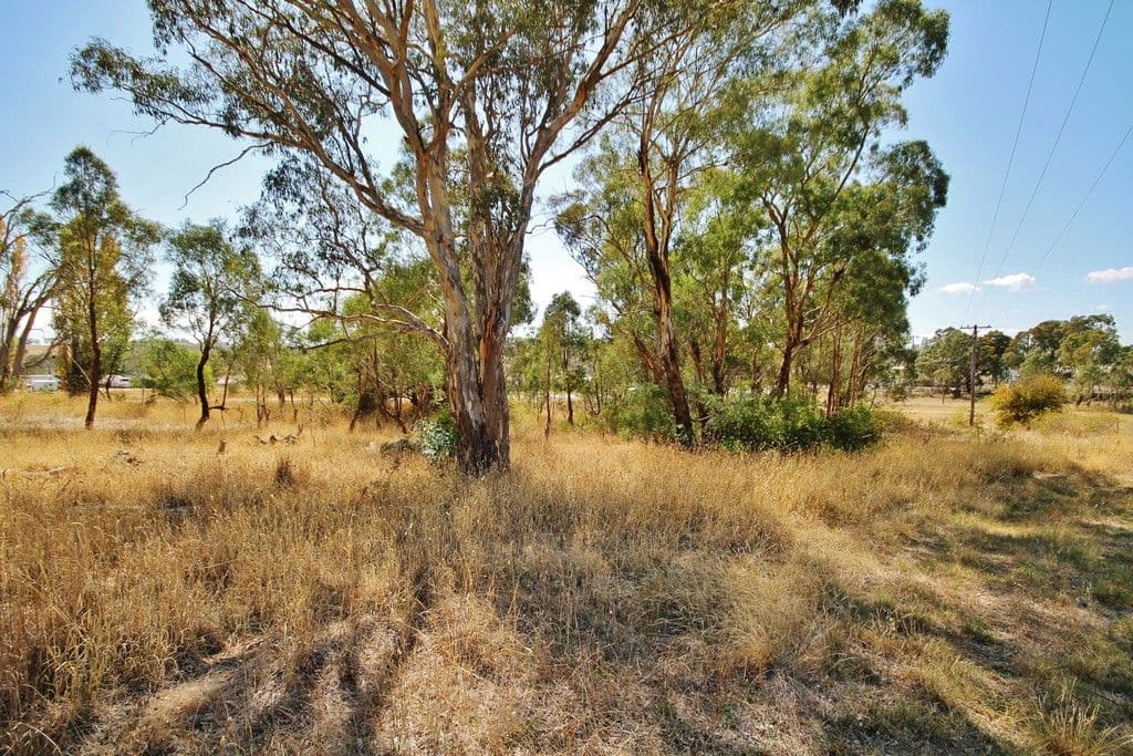 3 Browns Lane, Young NSW 2594, Young - Thumbnail 4