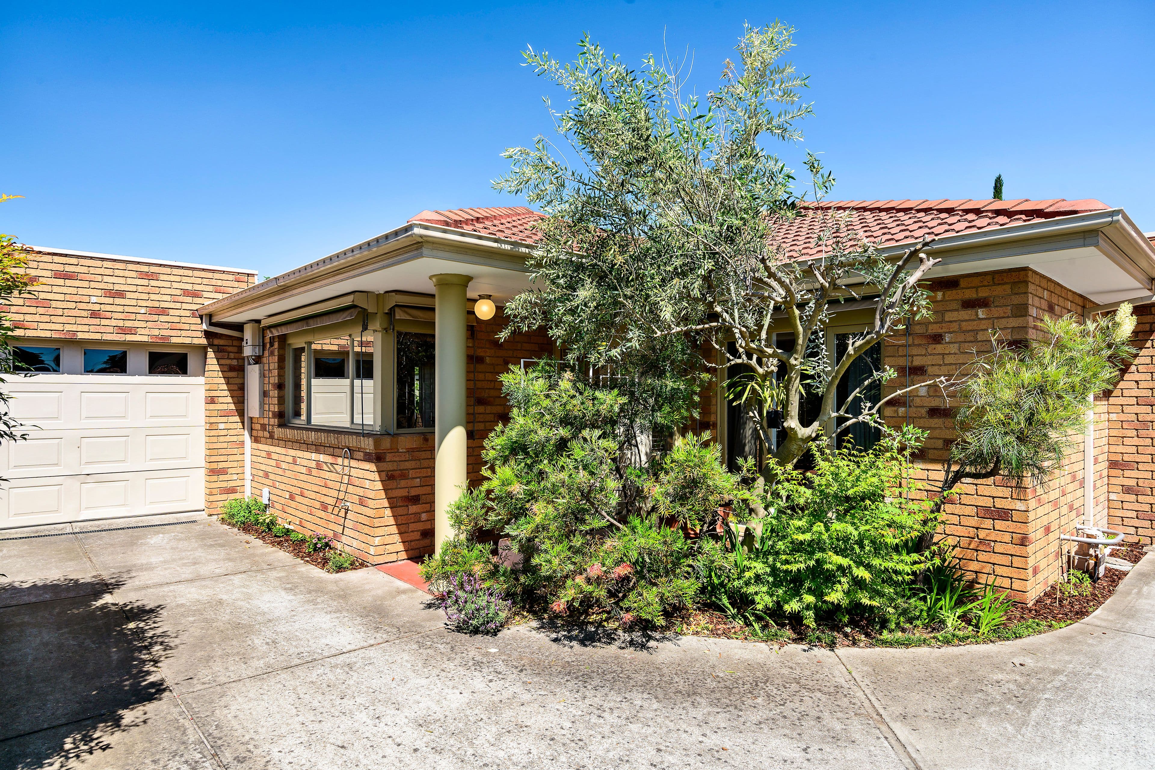 58 Macrina Street, Oakleigh East VIC 3166, Oakleigh East - Image 1