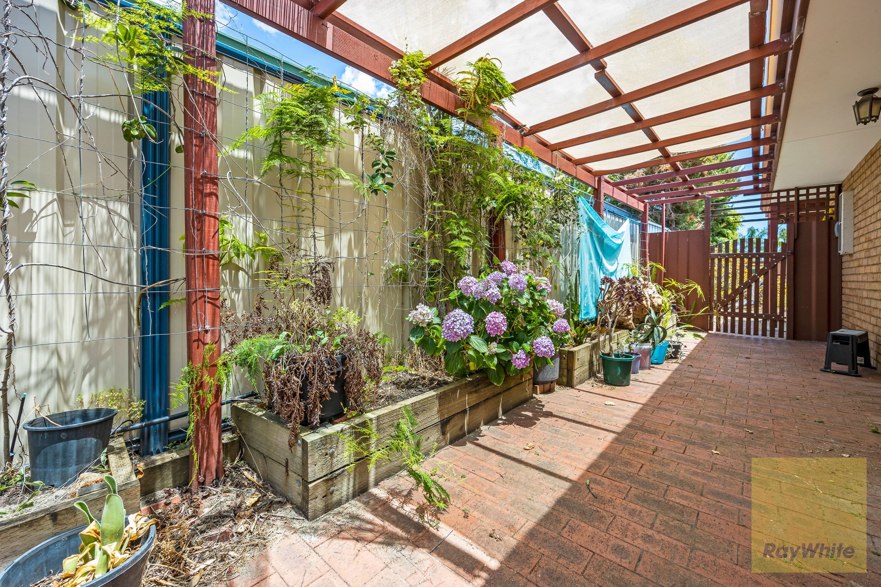 7 Carey Place, Gosnells WA 6110, Gosnells - Thumbnail 6
