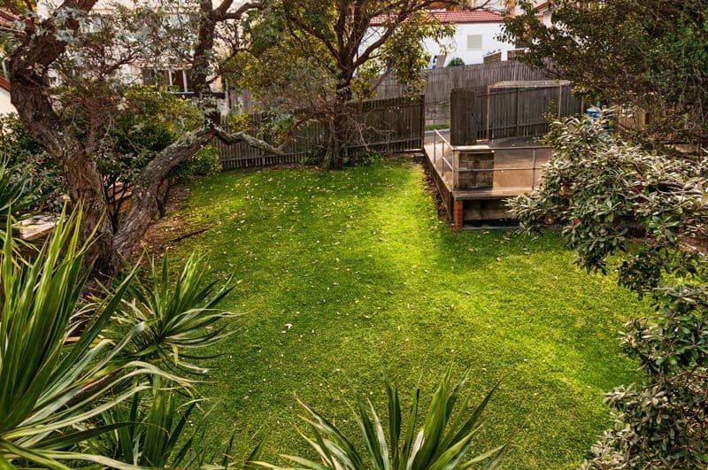 432 Malabar Road, MAROUBRA NSW 2035, Maroubra - Thumbnail 5