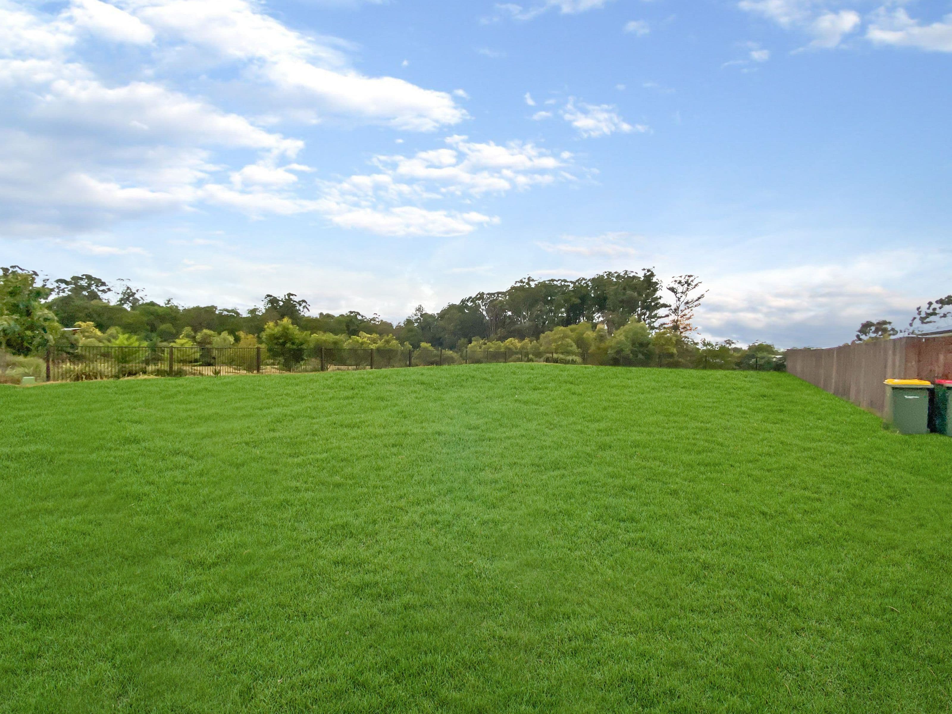 17 Ironwood Crescent, Beerwah QLD 4519, Beerwah - Thumbnail 5