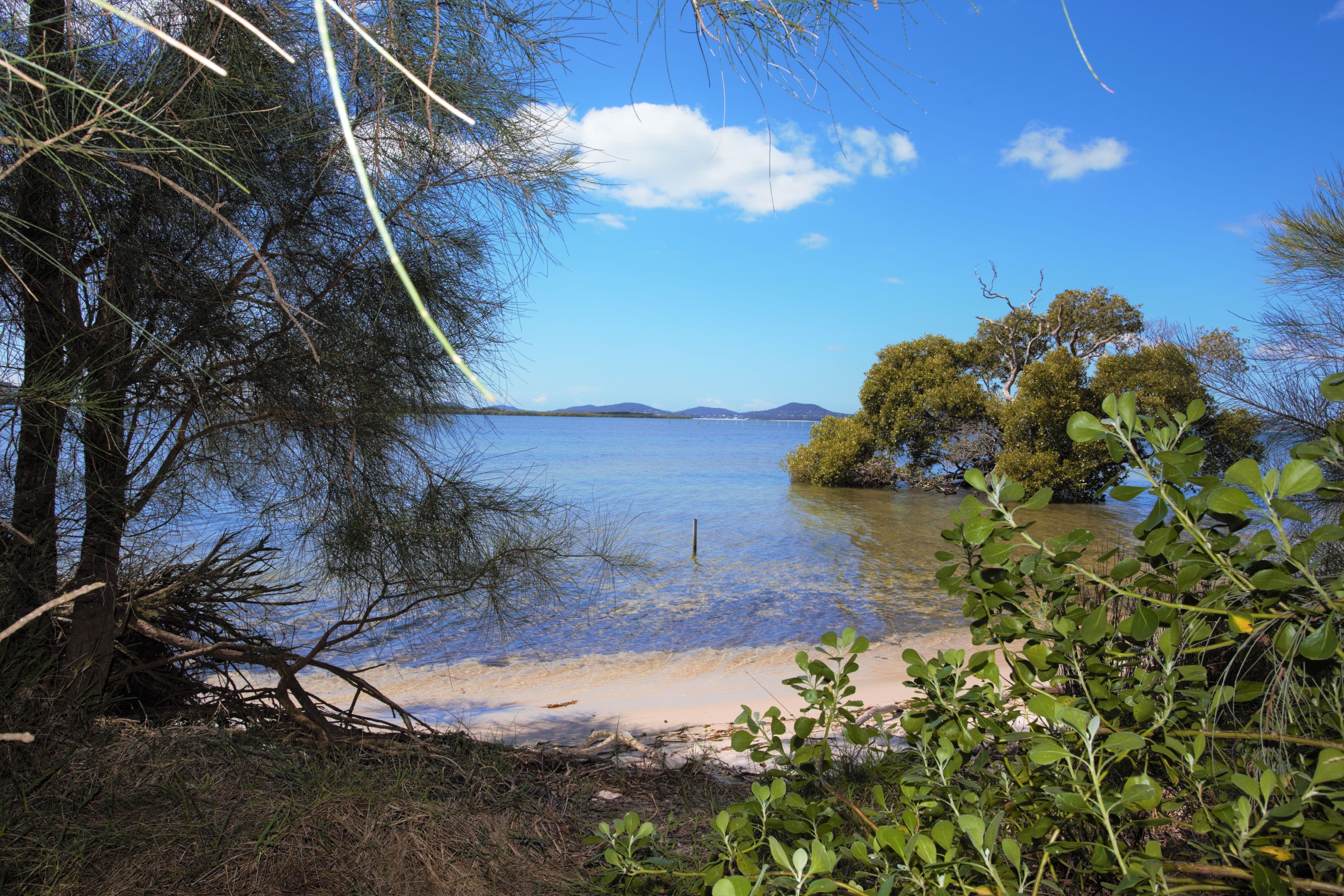 2 Bulga Street, Pindimar NSW 2324, Pindimar - Thumbnail 3