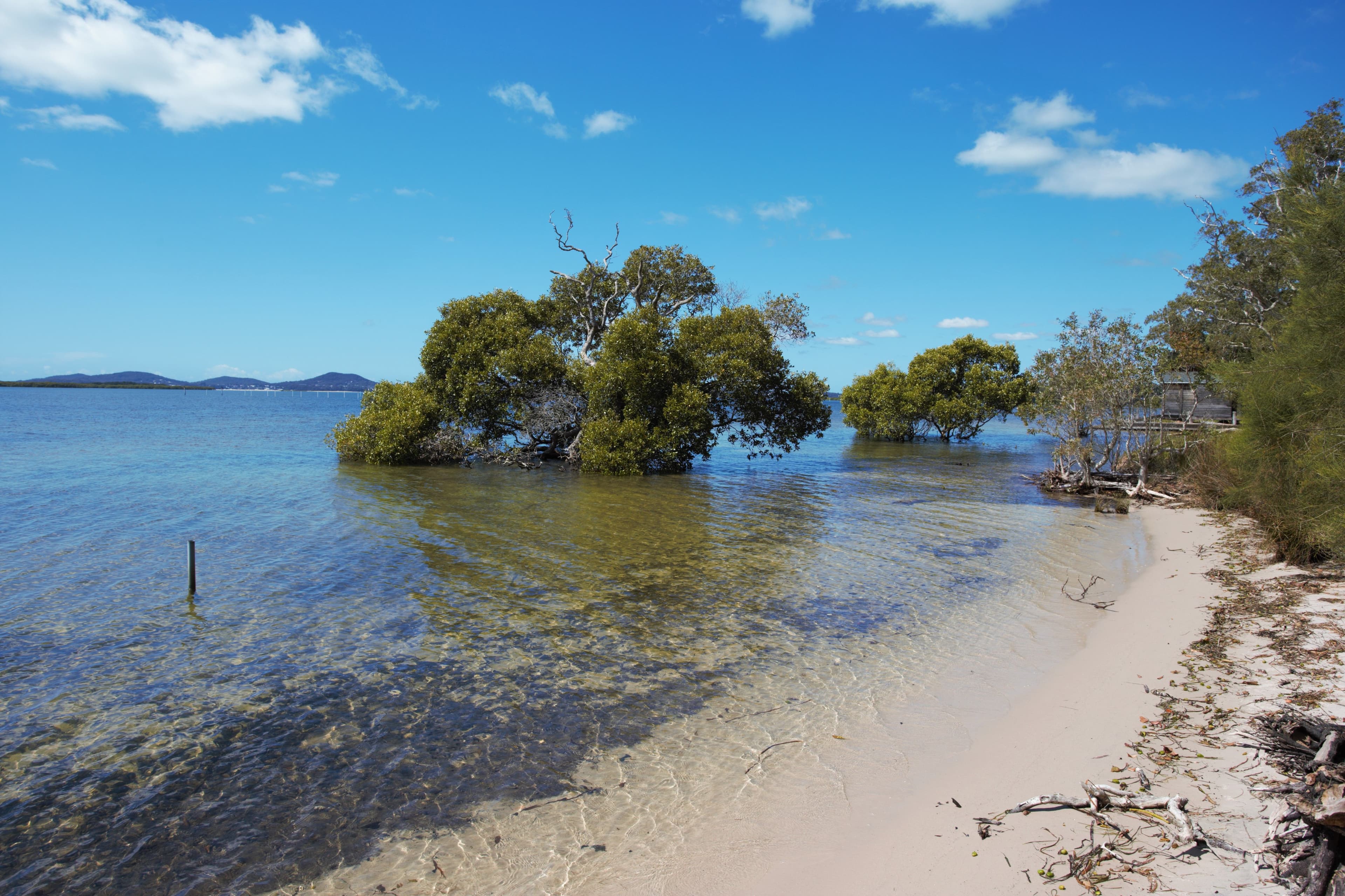2 Bulga Street, Pindimar NSW 2324, Pindimar - Thumbnail 5