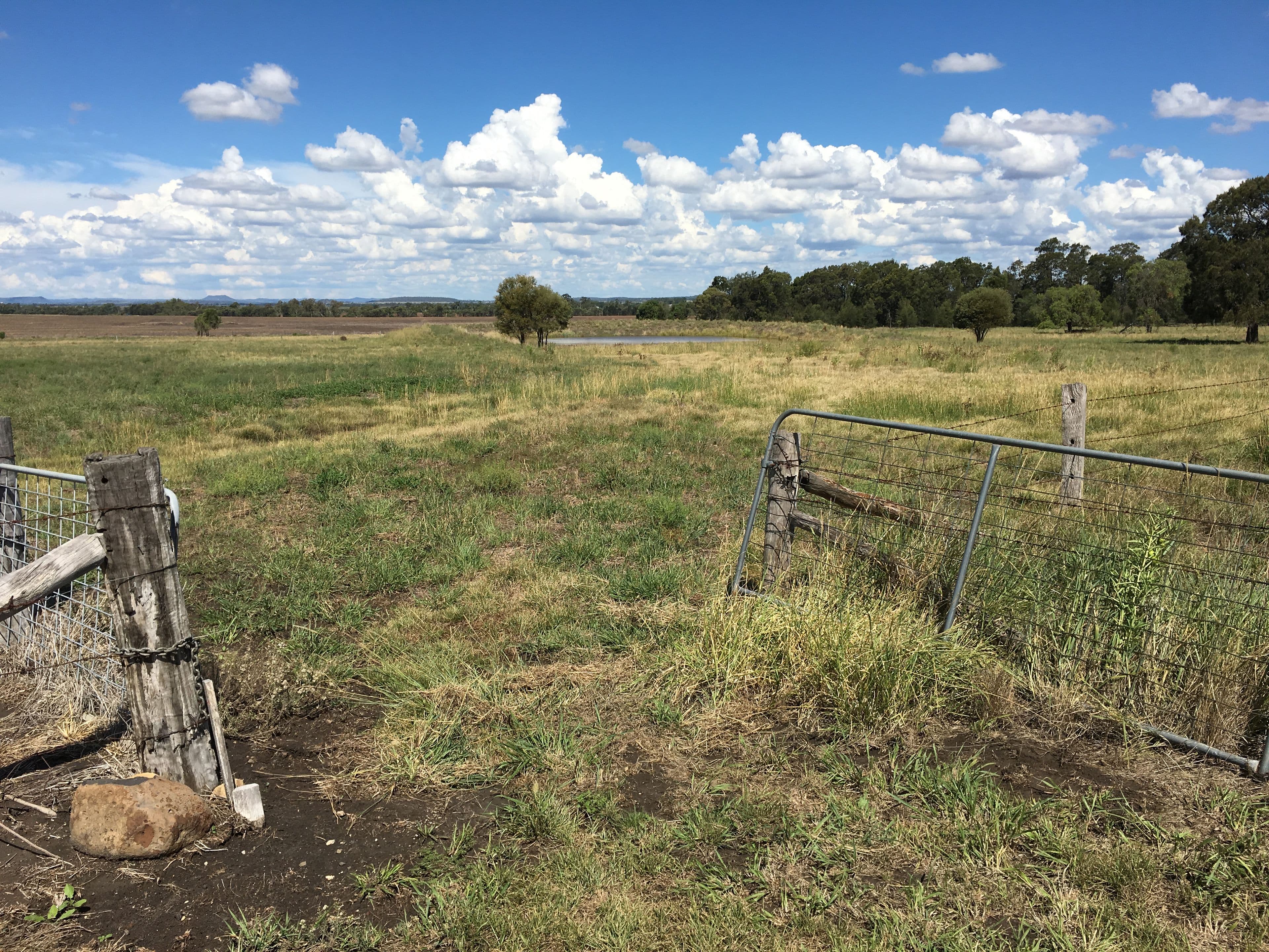 0 Evanslea Road, Evanslea QLD 4356, Evanslea - Thumbnail 2