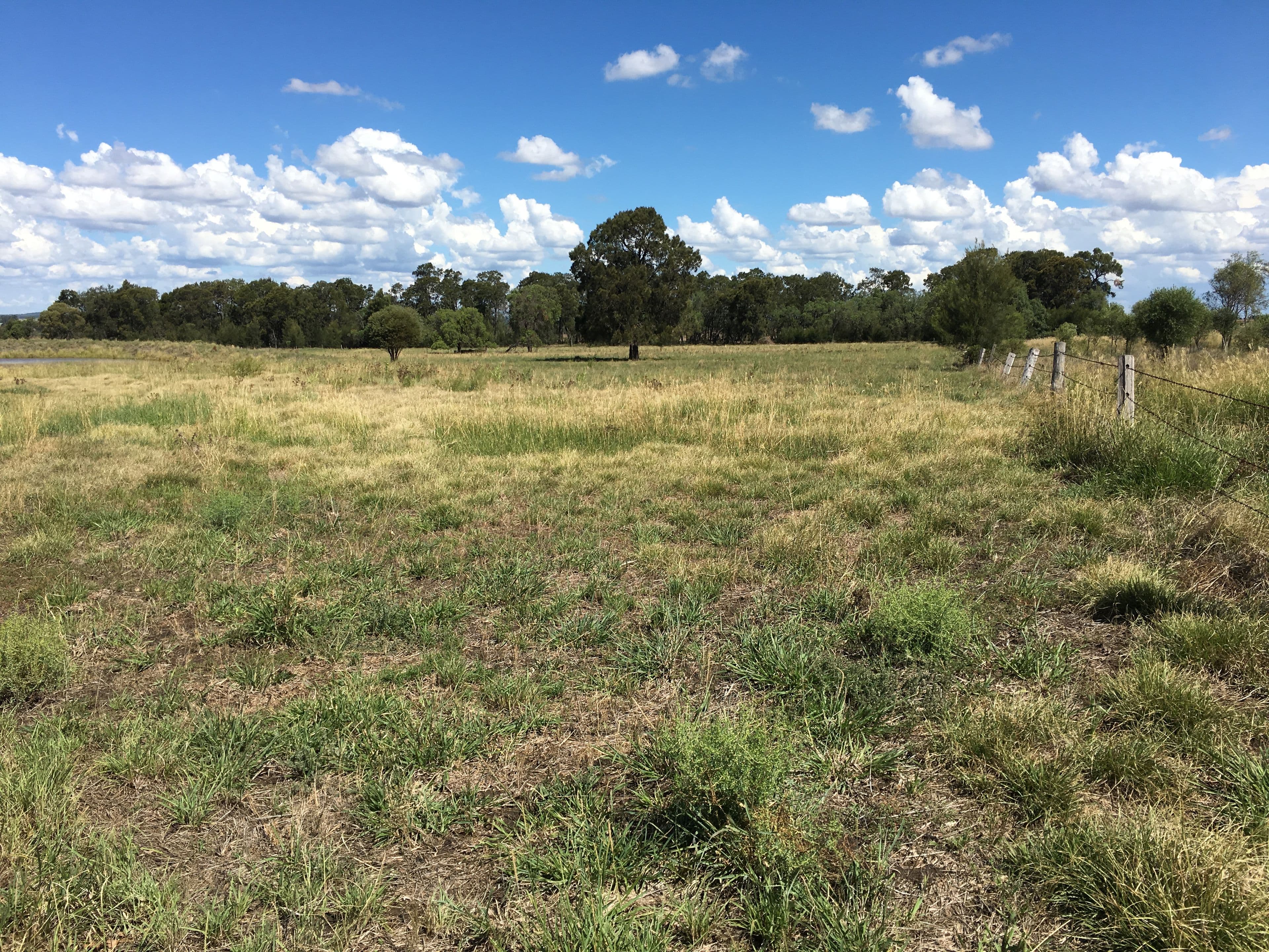 0 Evanslea Road, Evanslea QLD 4356, Evanslea - Thumbnail 3