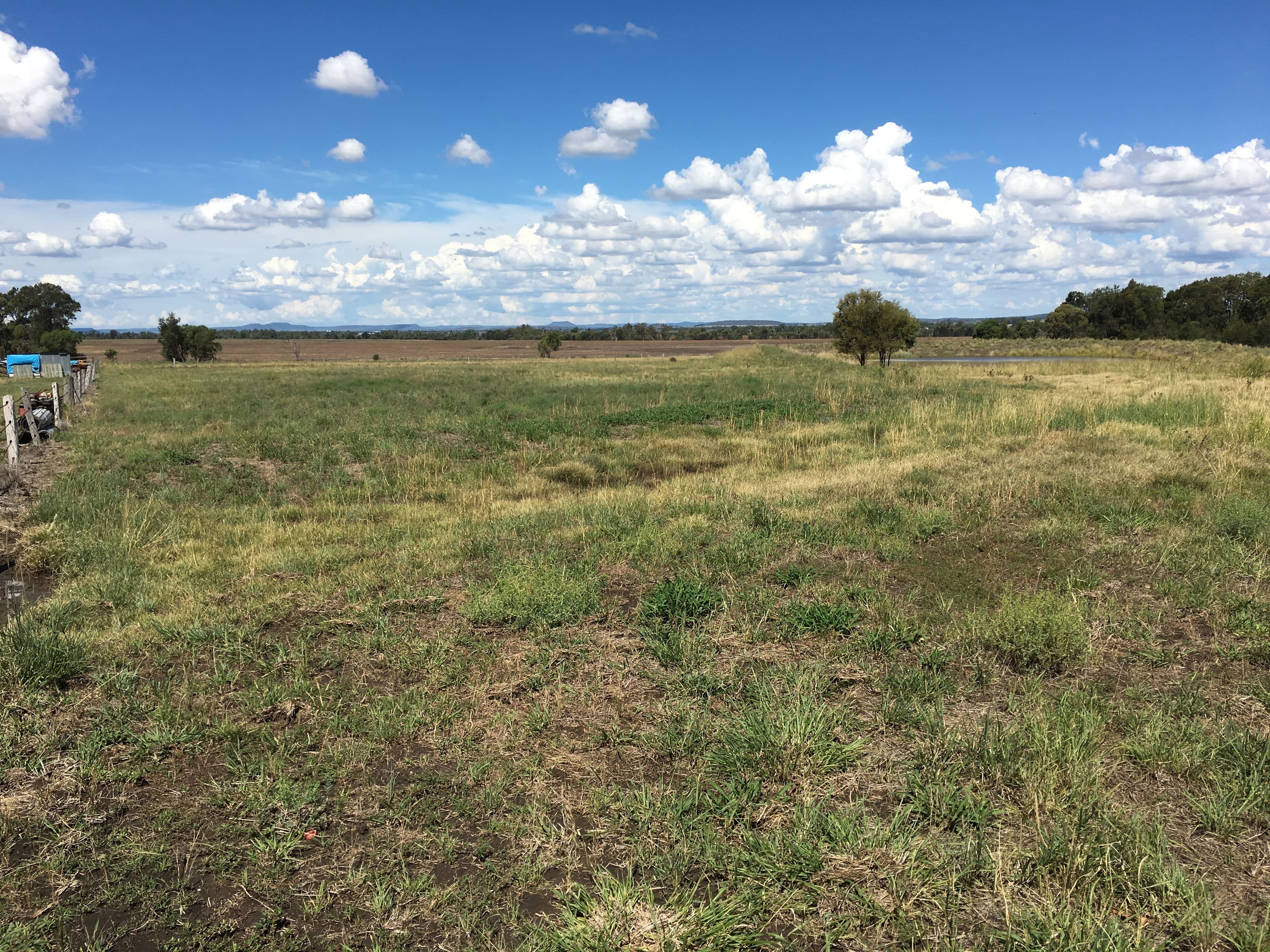 0 Evanslea Road, Evanslea QLD 4356, Evanslea - Thumbnail 4