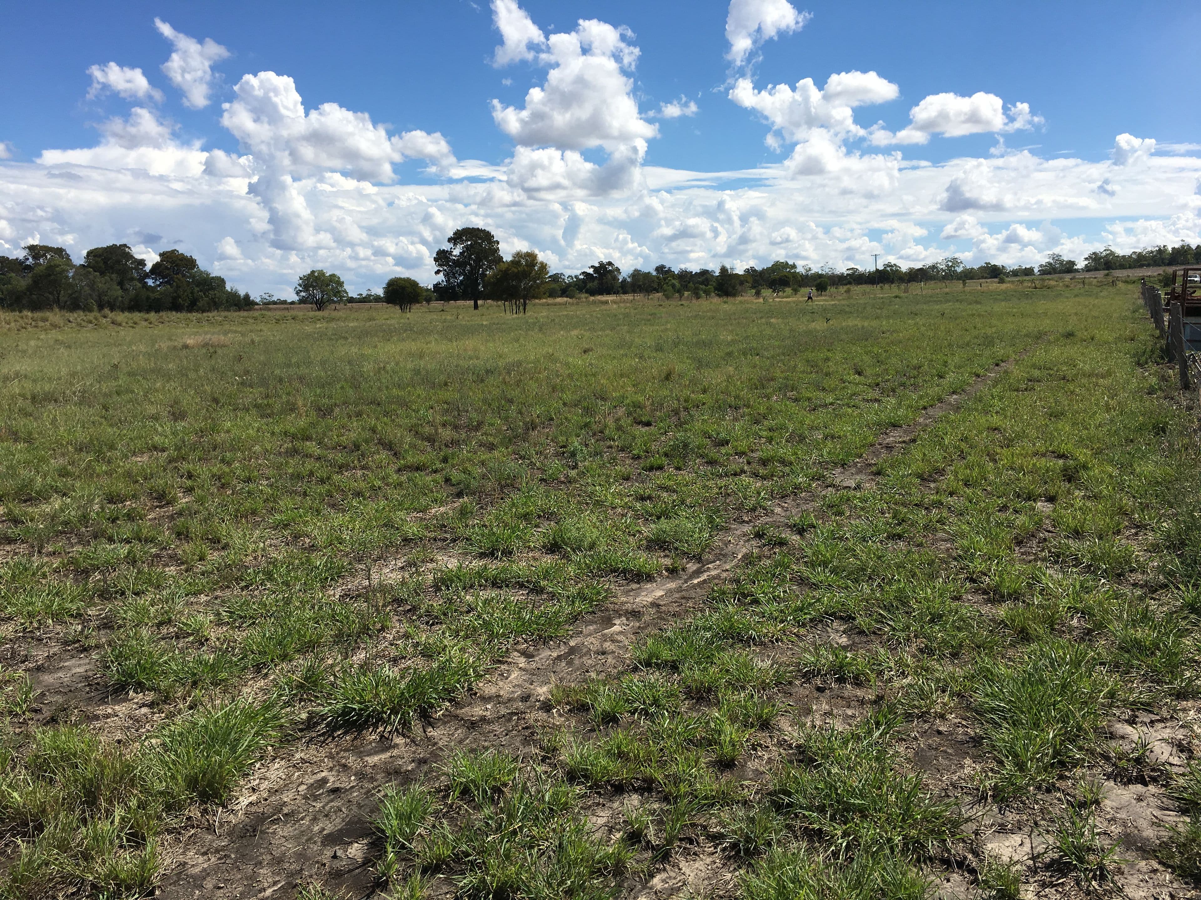 0 Evanslea Road, Evanslea QLD 4356, Evanslea - Thumbnail 5