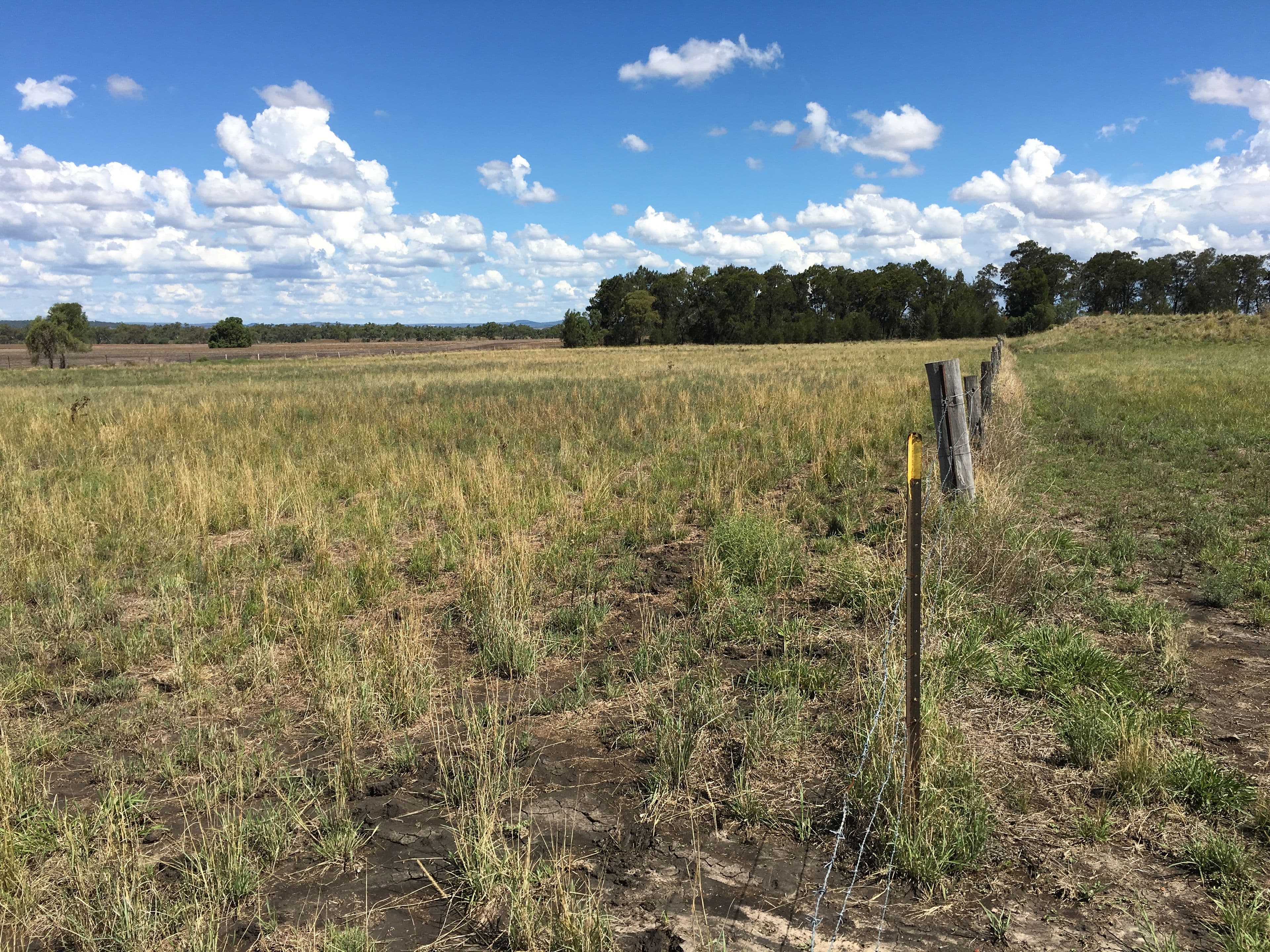 0 Evanslea Road, Evanslea QLD 4356, Evanslea - Thumbnail 6