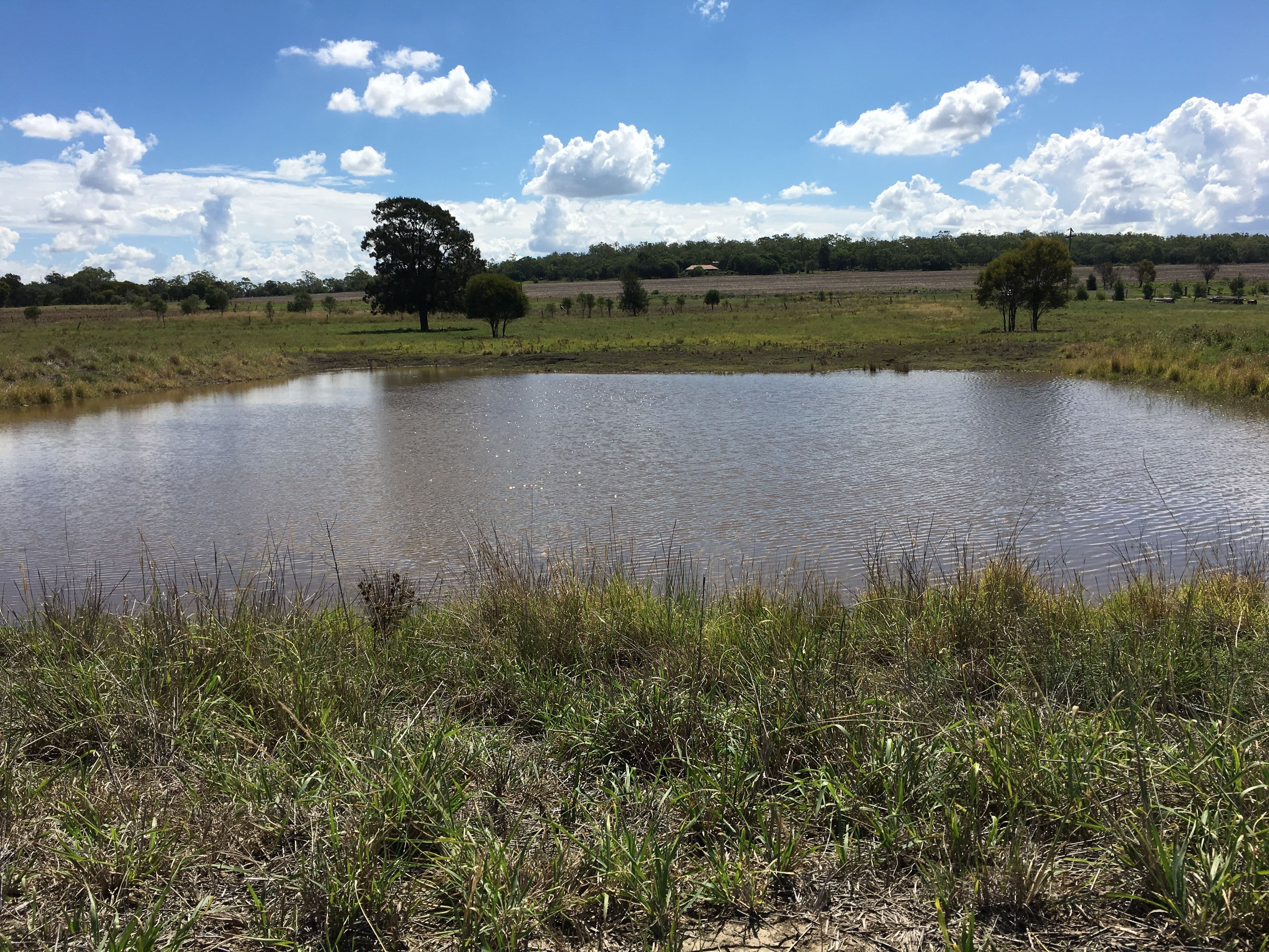 0 Evanslea Road, Evanslea QLD 4356, Evanslea - Thumbnail 7