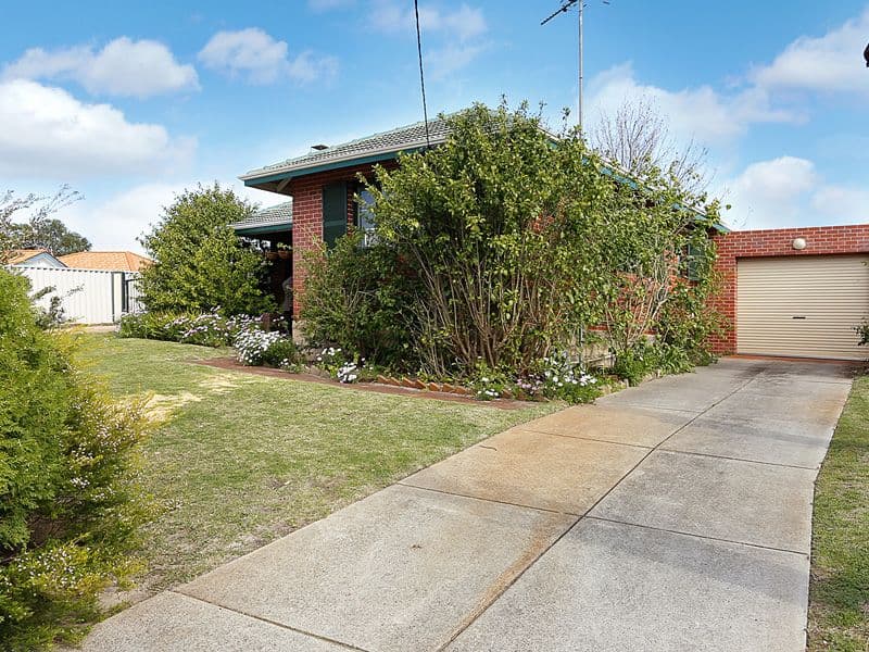 366 Walter Crescent, MORLEY WA 6062, Morley - Thumbnail 4