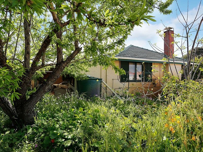 366 Walter Crescent, MORLEY WA 6062, Morley - Thumbnail 7