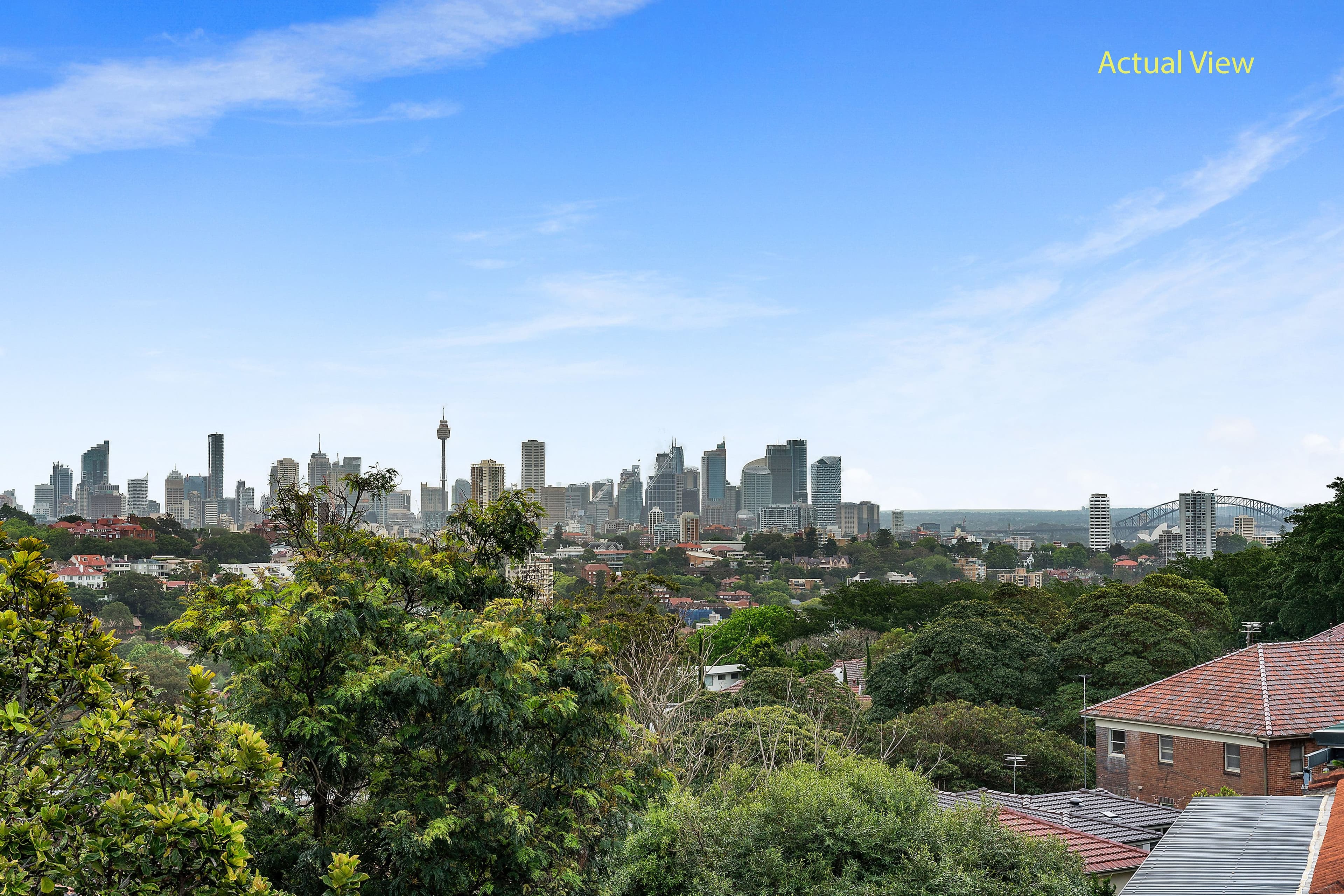 90 Bellevue Road, Bellevue Hill NSW 2023, Bellevue Hill - Thumbnail 8