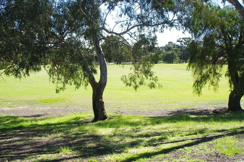 17 Arnos Way, GIRRAWHEEN WA 6064, Girrawheen - Thumbnail 2