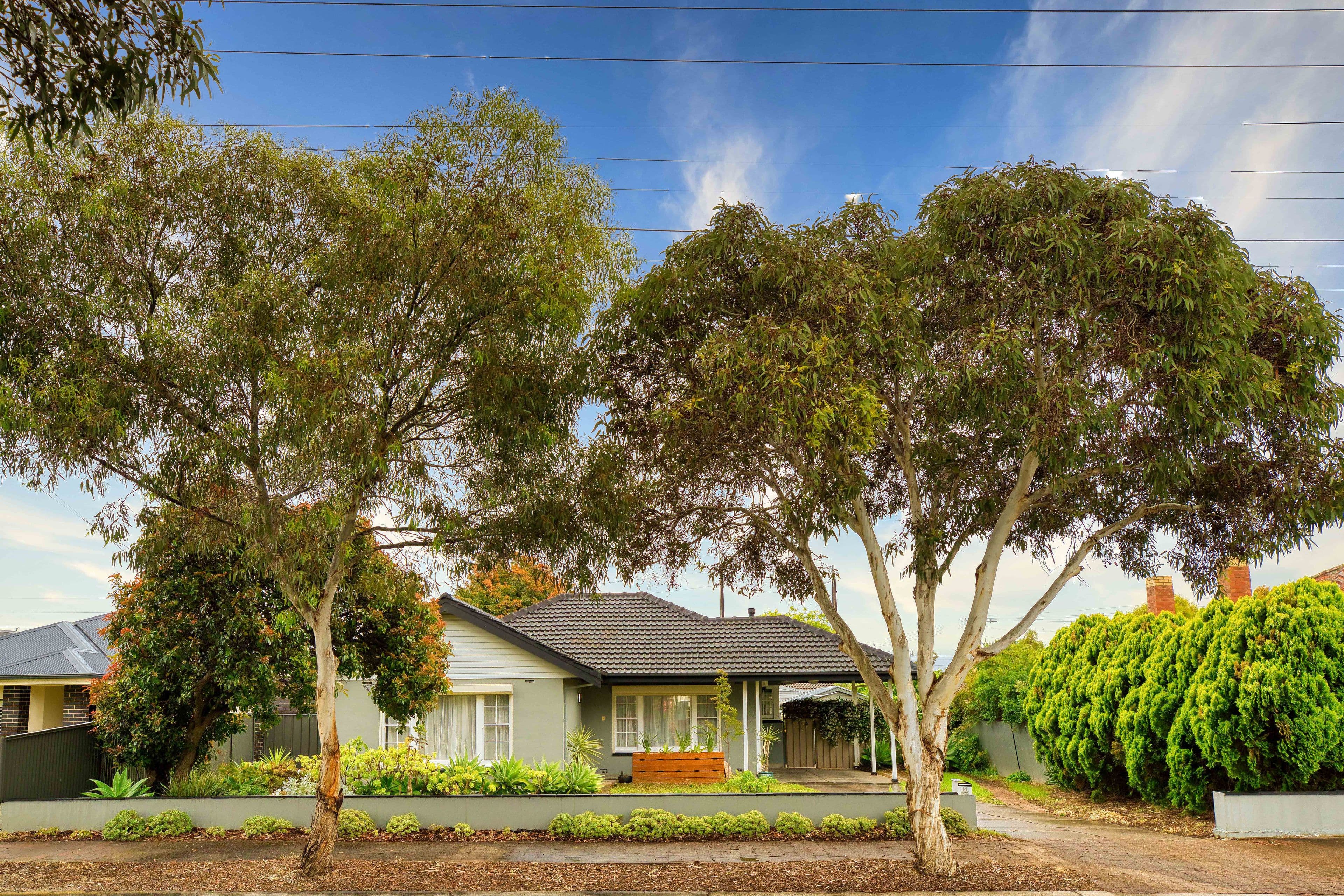 14 Cashel Street, St Marys SA 5042, St Marys - Thumbnail 2