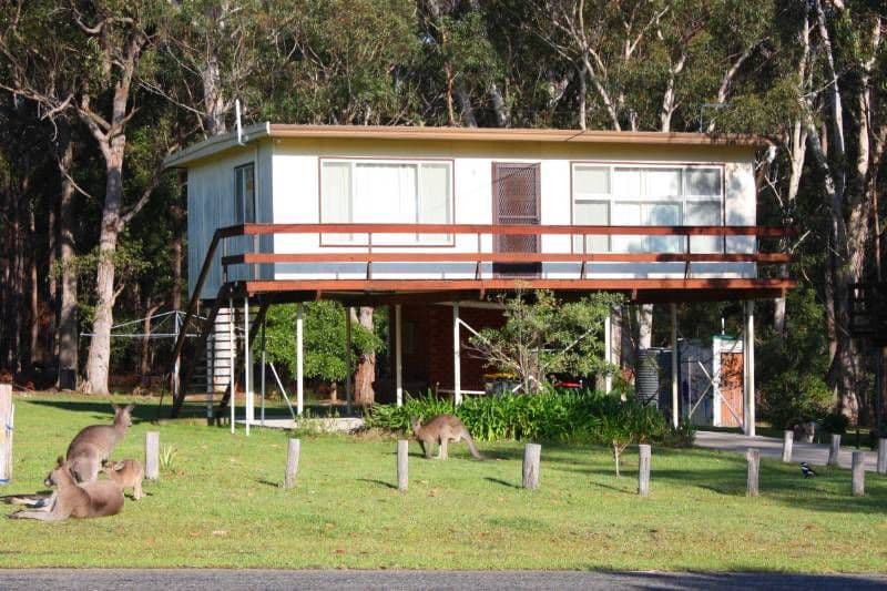 9 Pine Street, BENDALONG NSW 2539, Bendalong - Image 1
