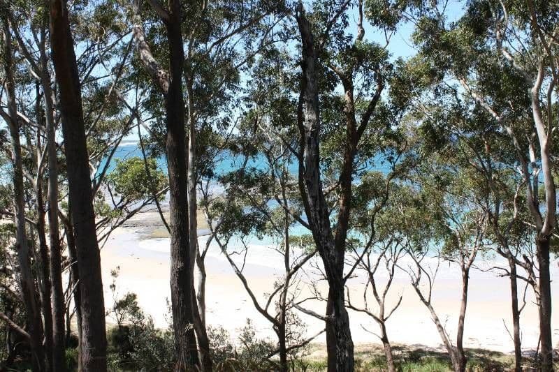 9 Pine Street, BENDALONG NSW 2539, Bendalong - Thumbnail 3